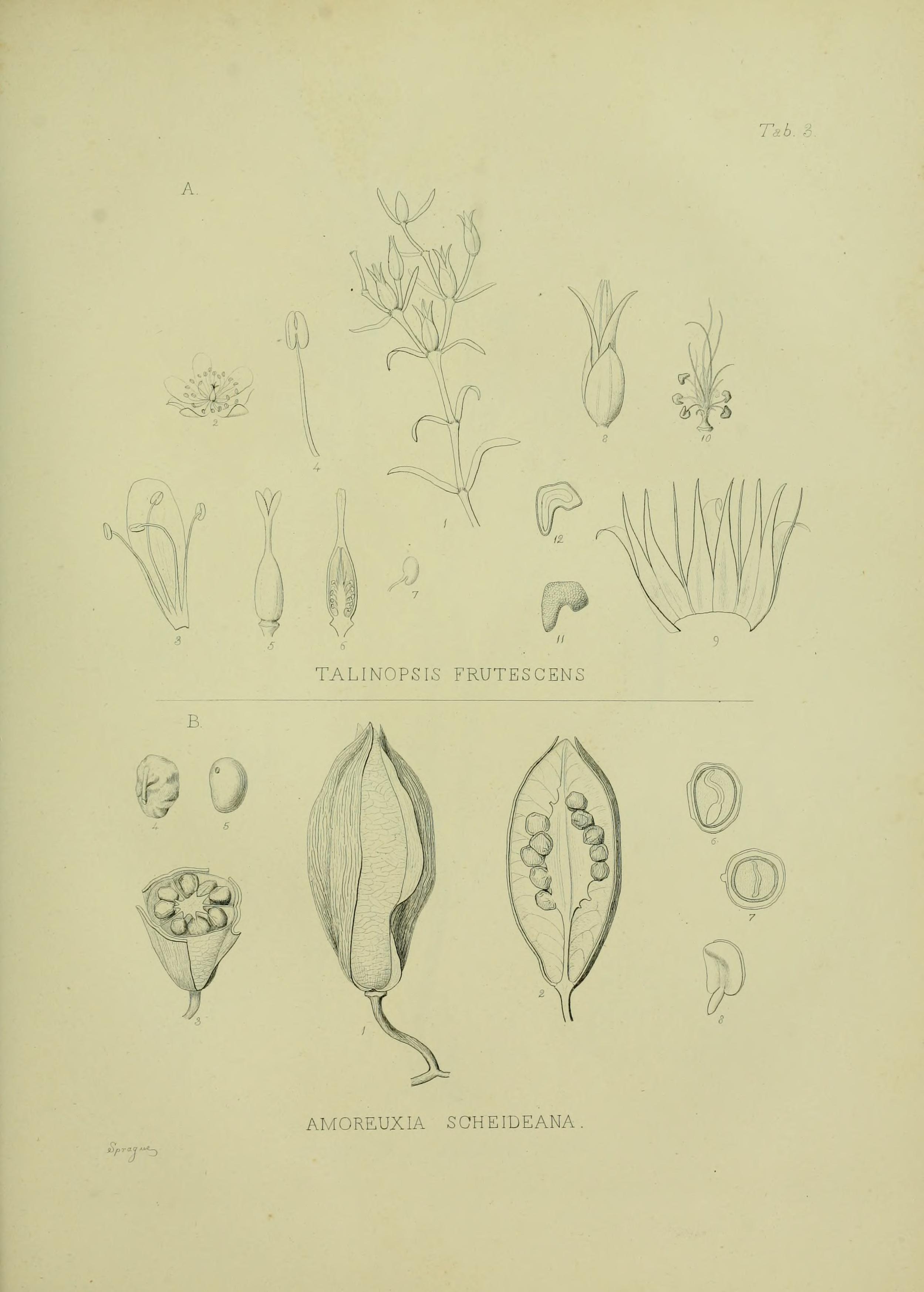 no full size  illustration available (3a)