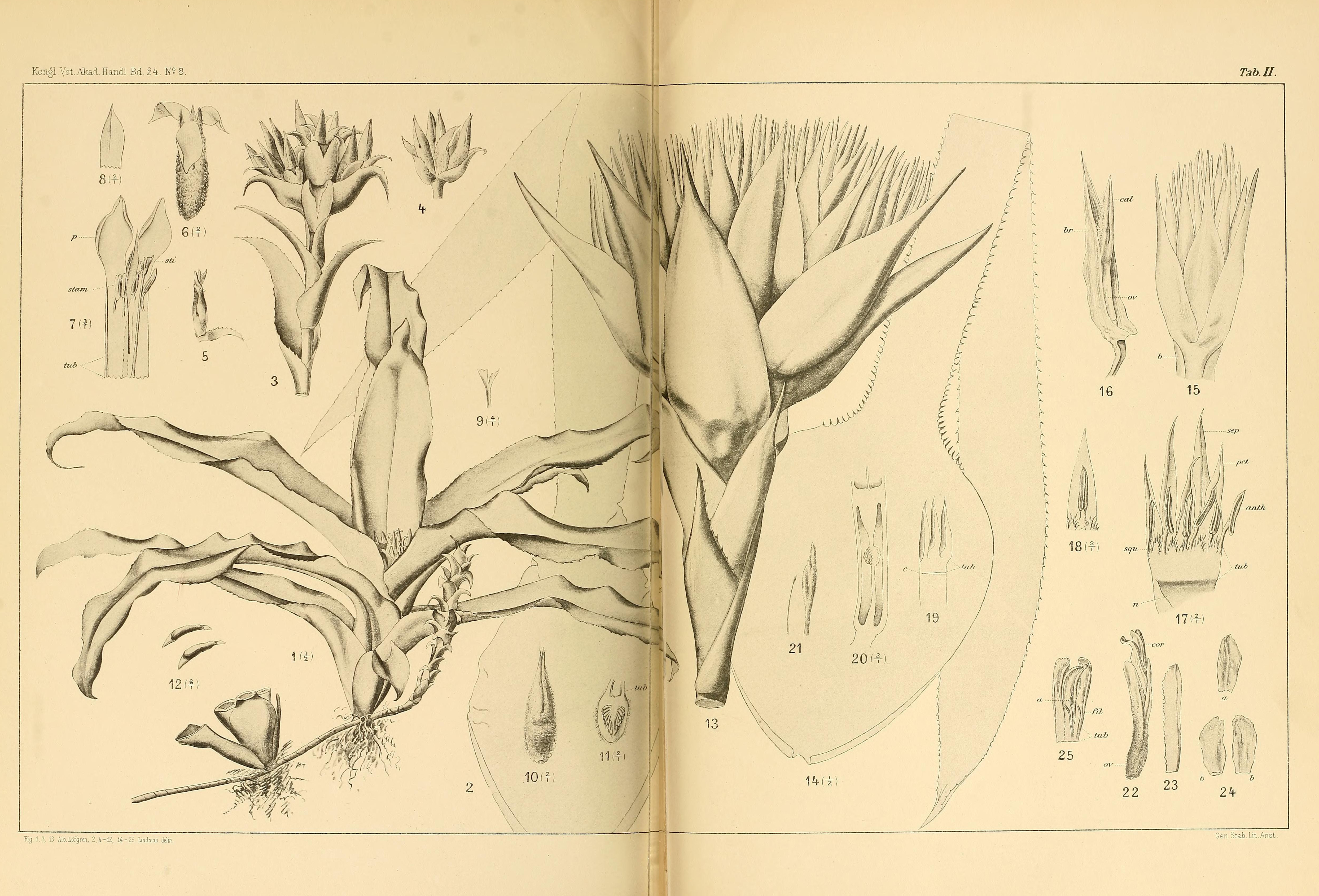 no full size  illustration available (3a)