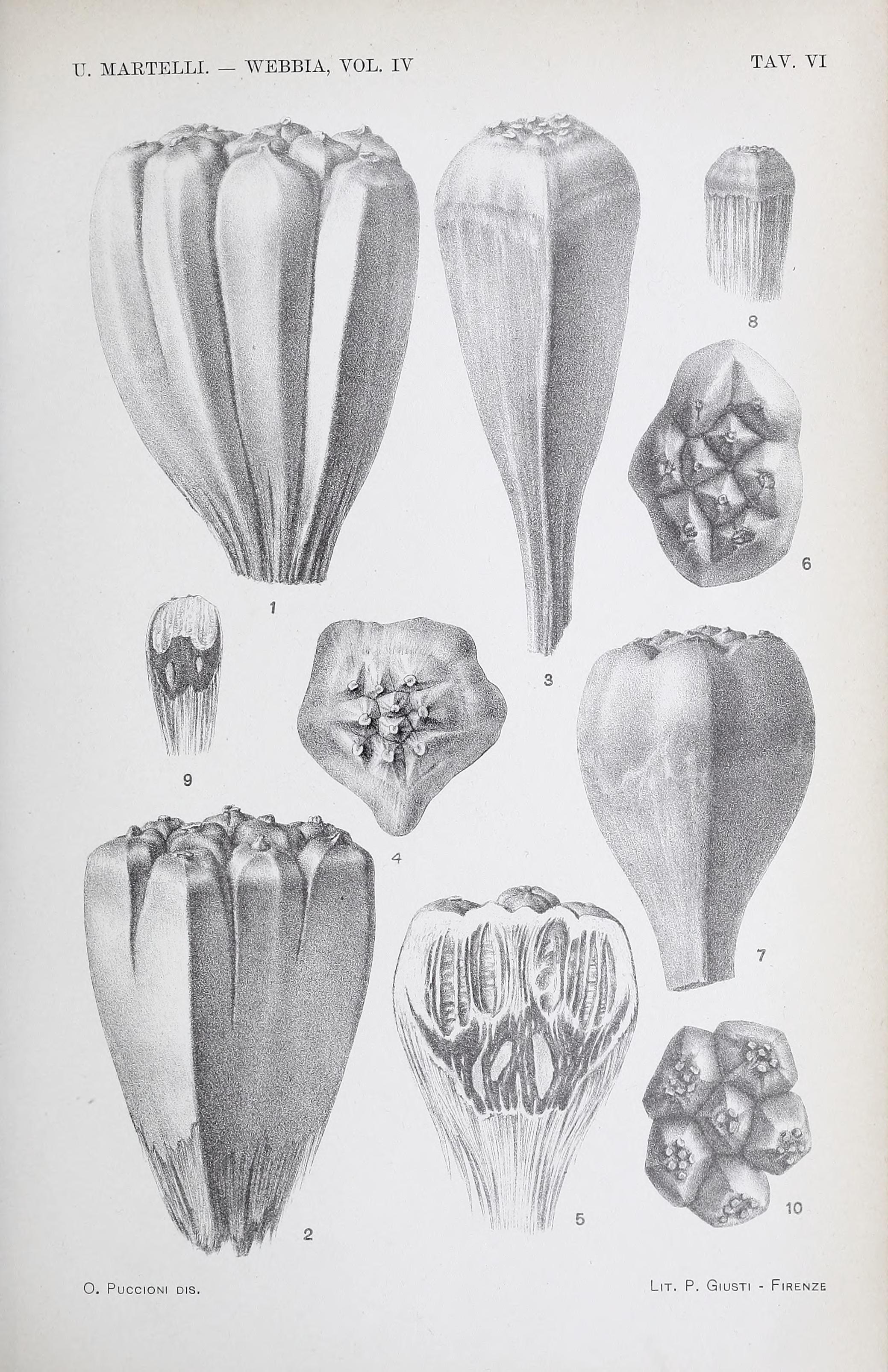 no full size  illustration available (3a)