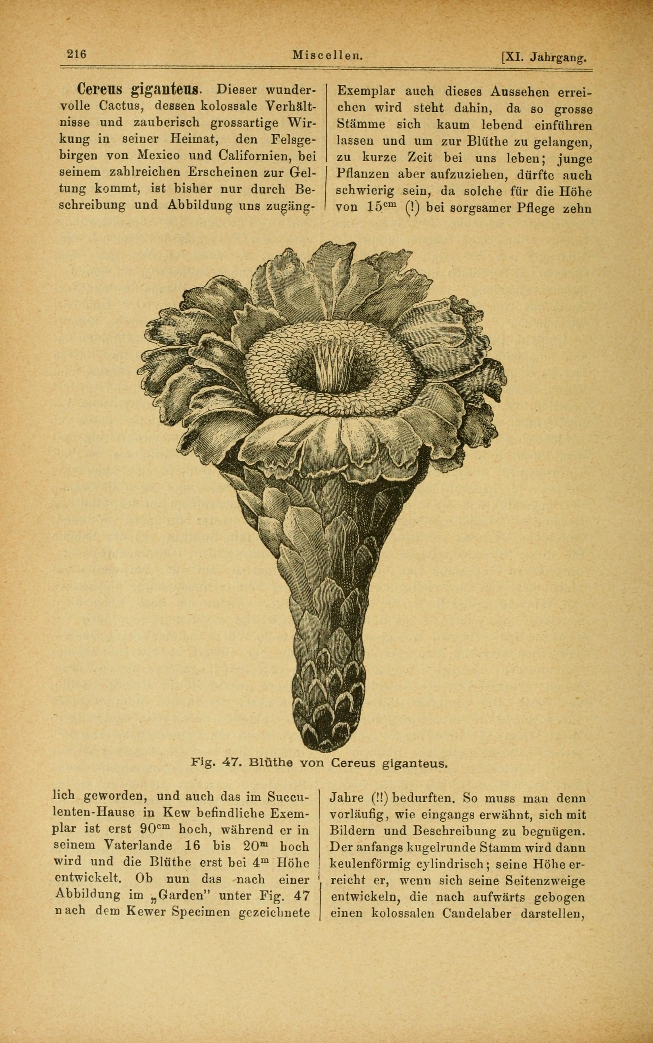 no full size  illustration available (3a)