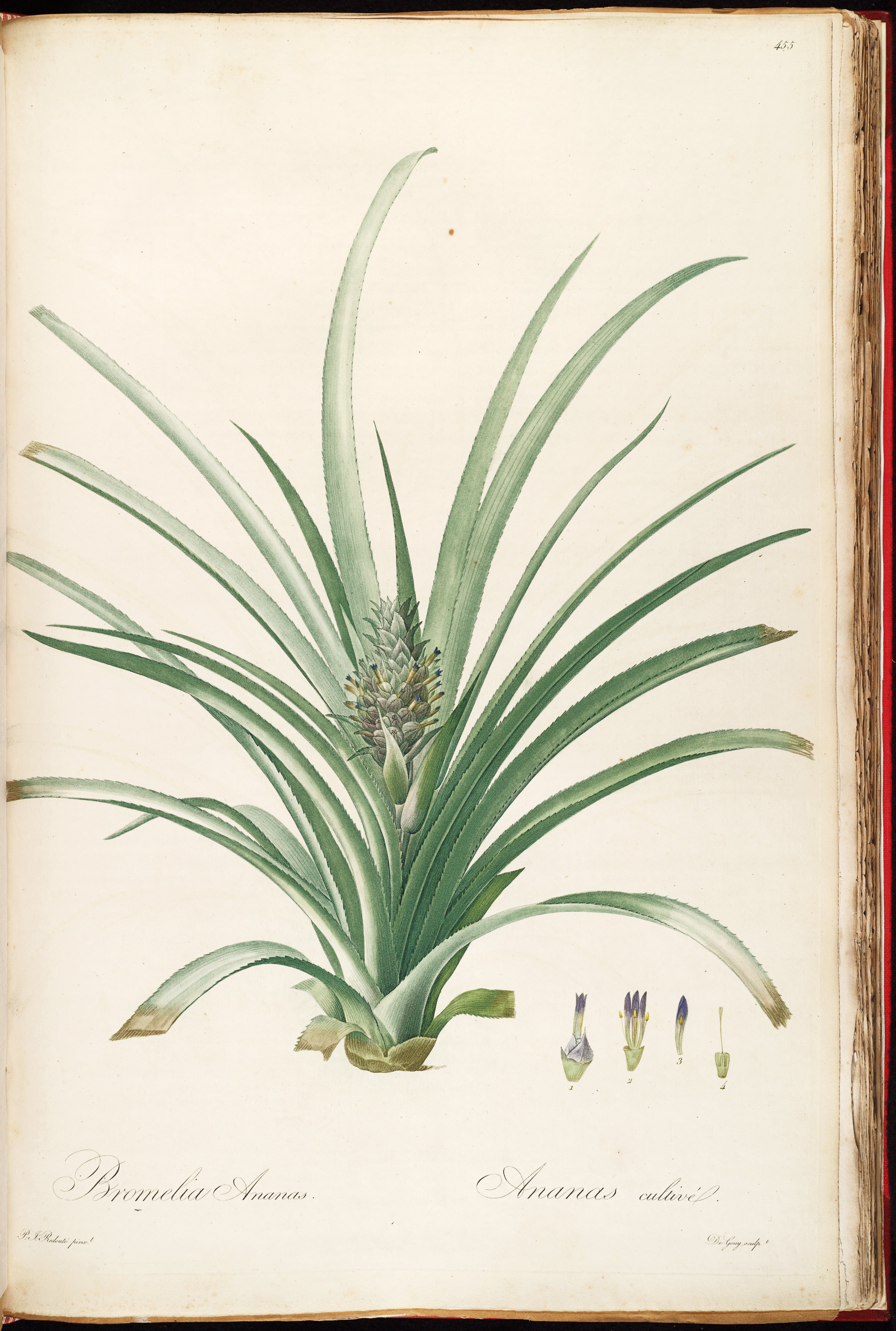 no full size  illustration available (3a)