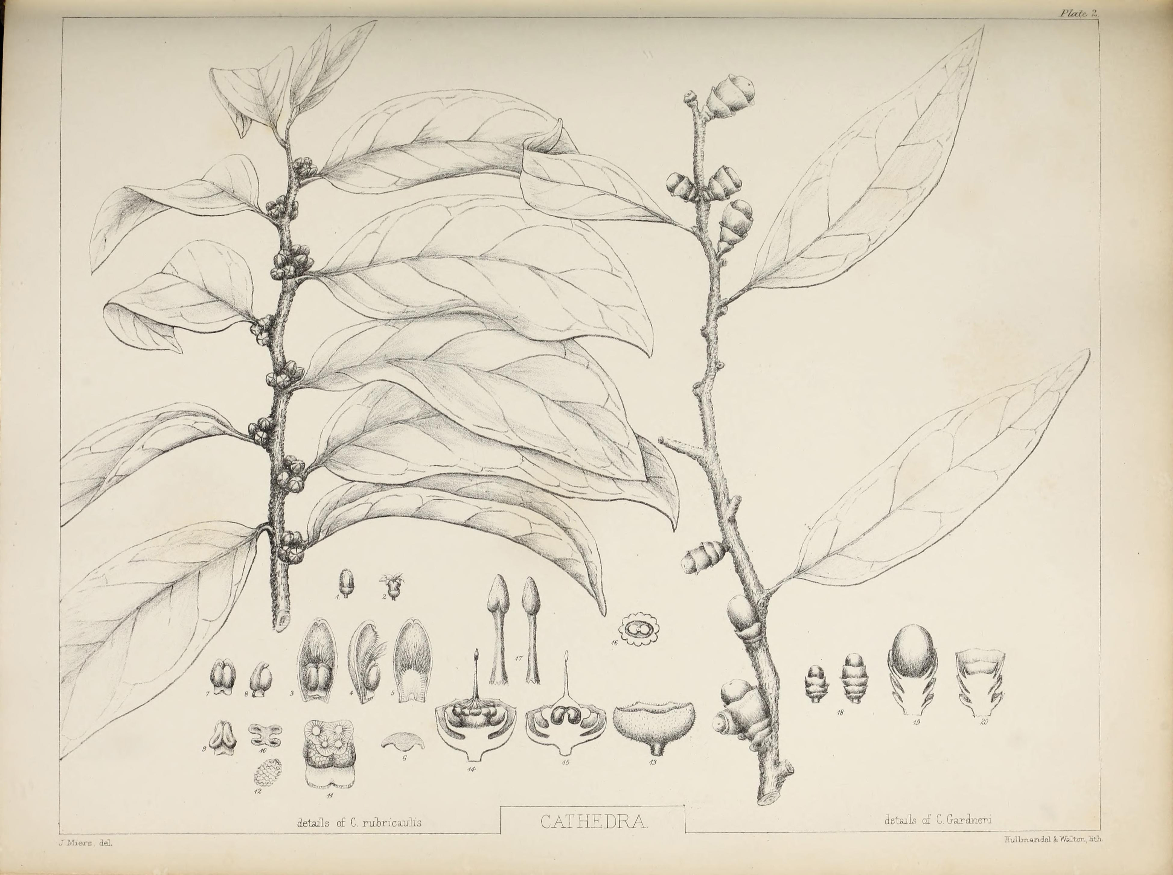 no full size  illustration available (3a)