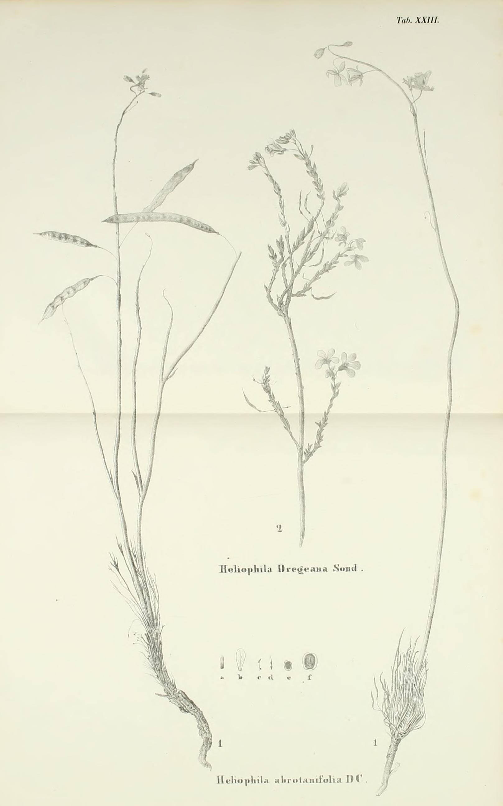 no full size  illustration available (3a)