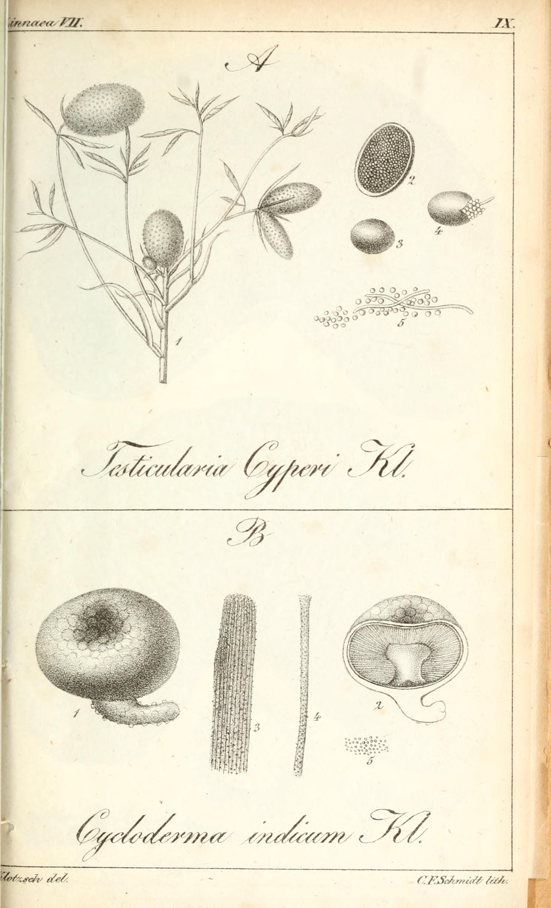 no full size  illustration available (3a)