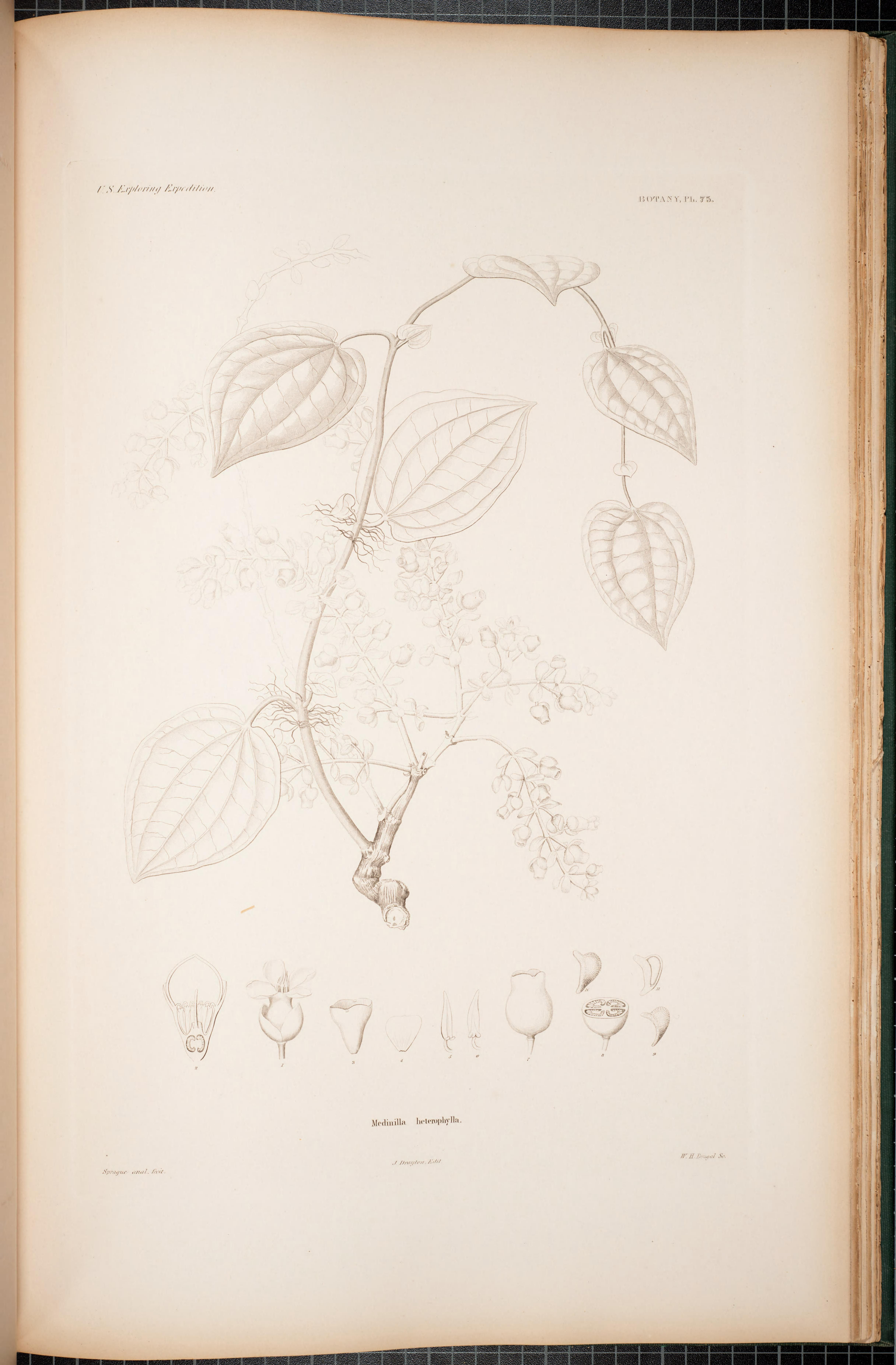 no full size  illustration available (3a)