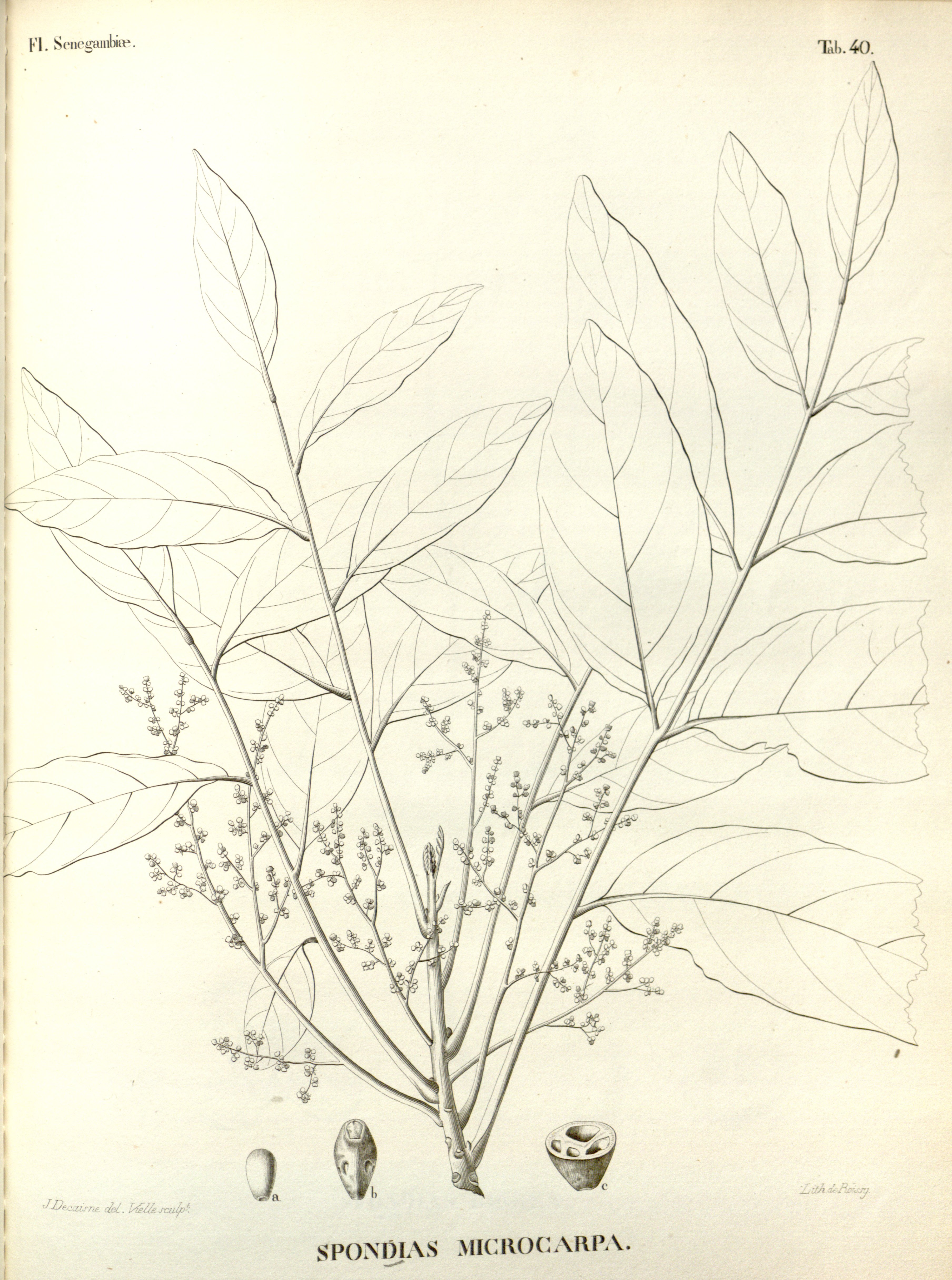 no full size  illustration available (3a)