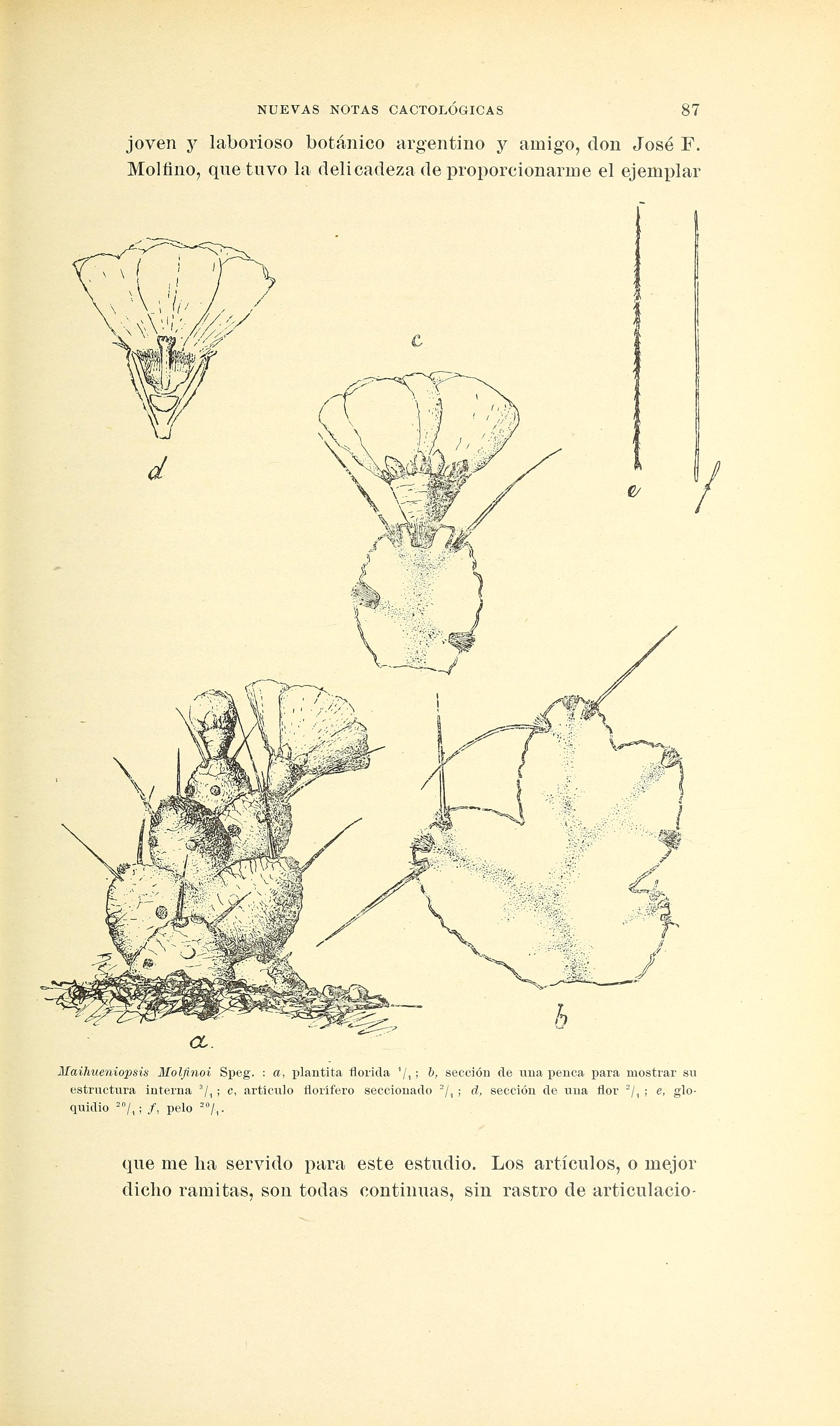 no full size  illustration available (3a)