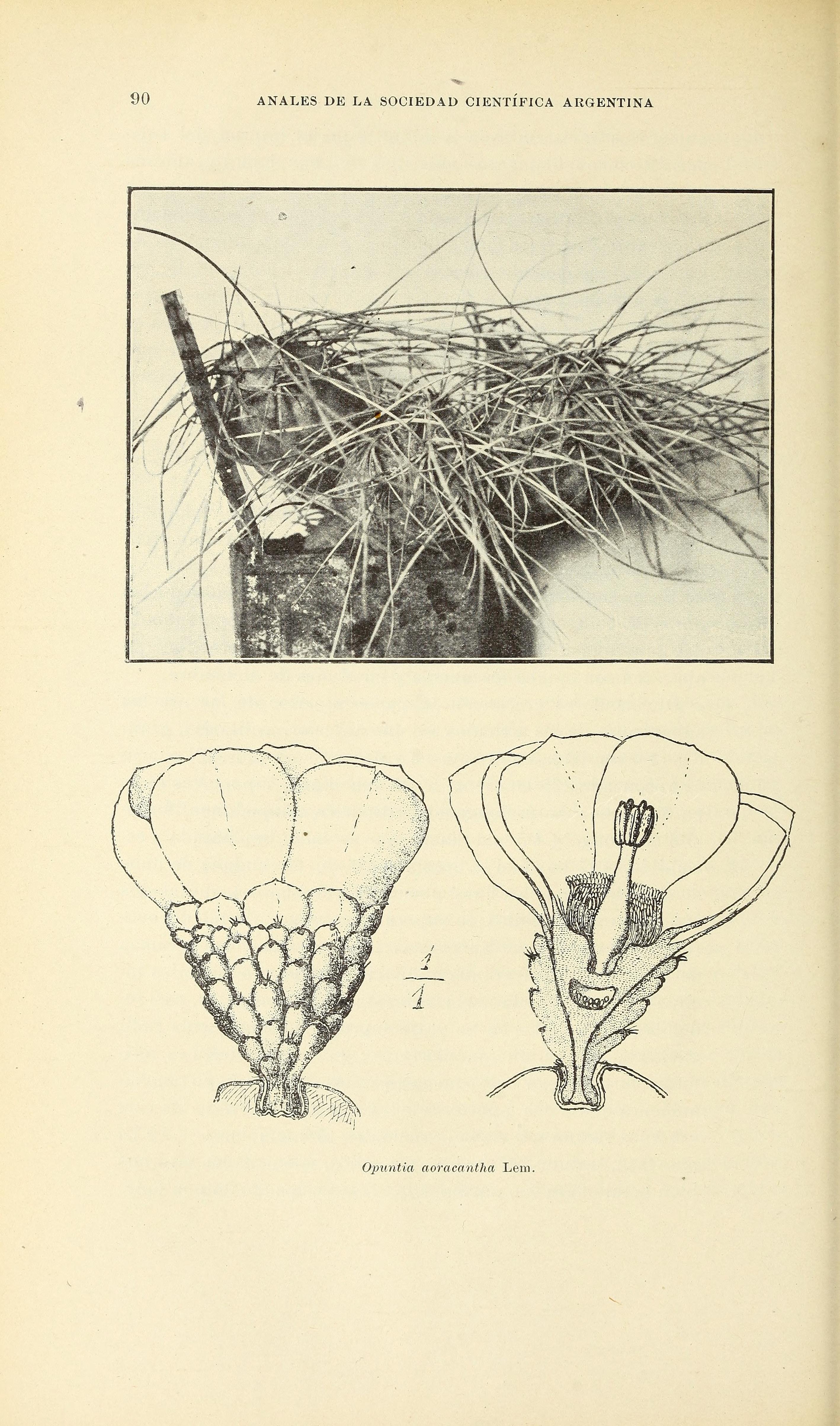 no full size  illustration available (3a)