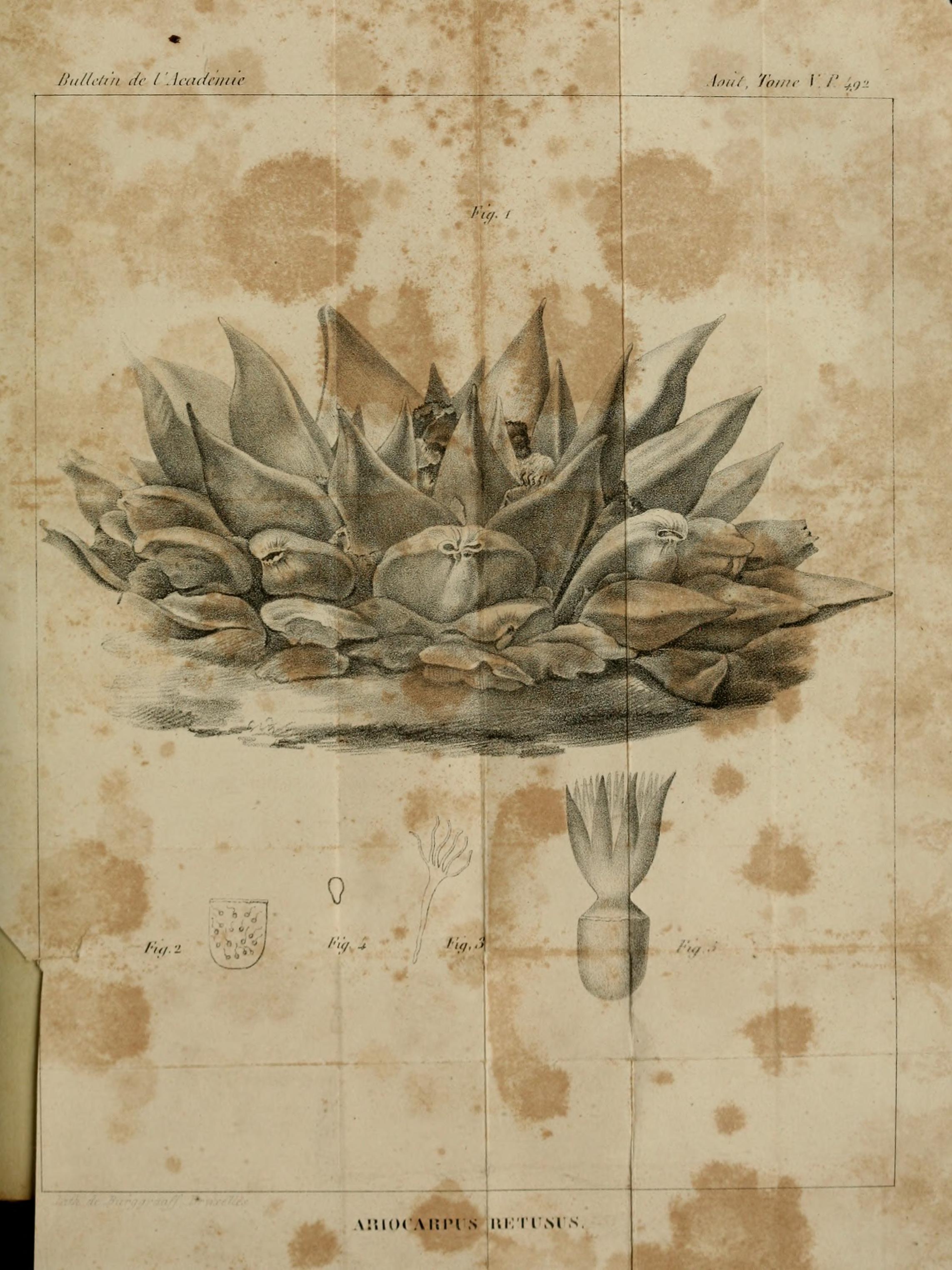 no full size  illustration available (3a)