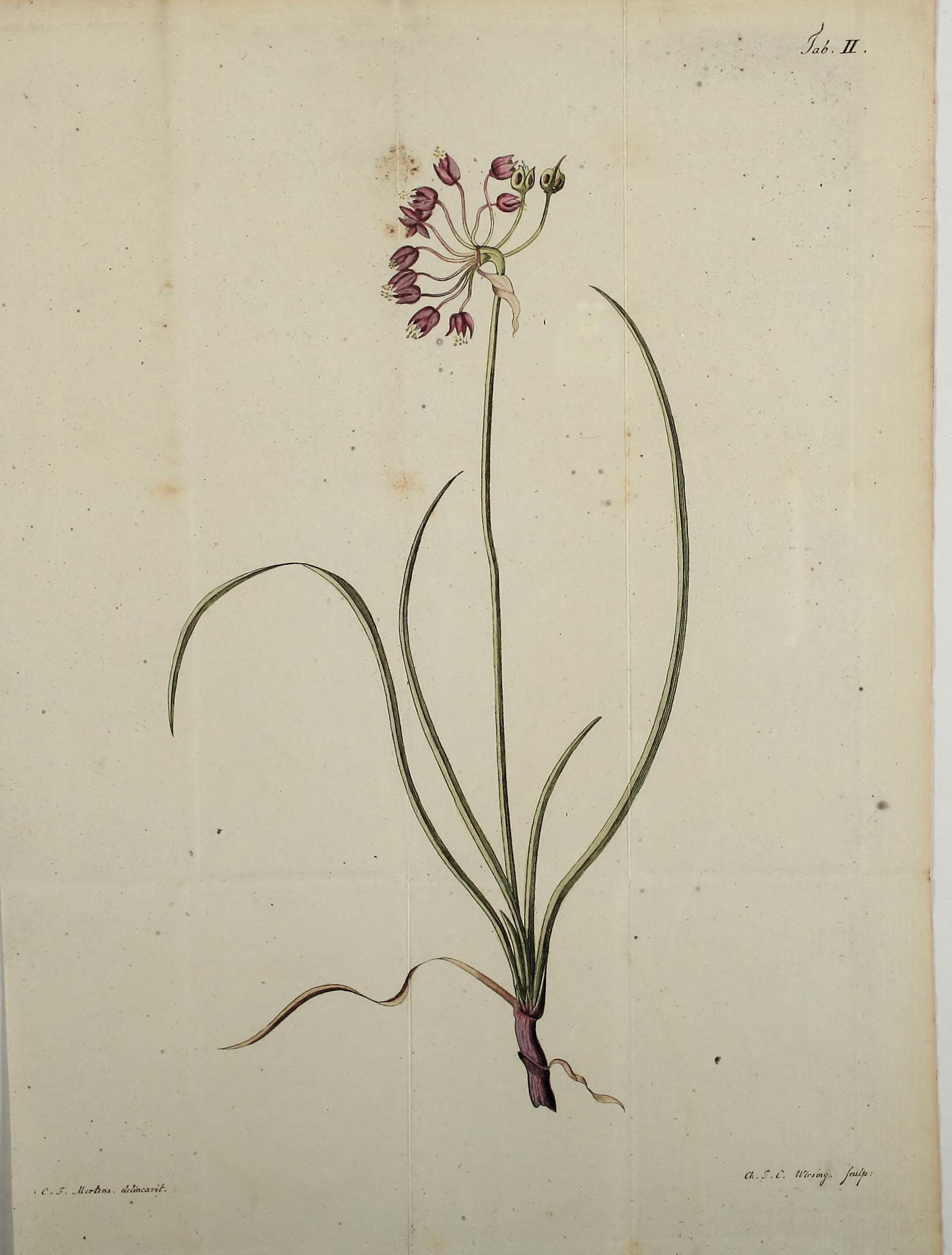 no full size  illustration available (3a)