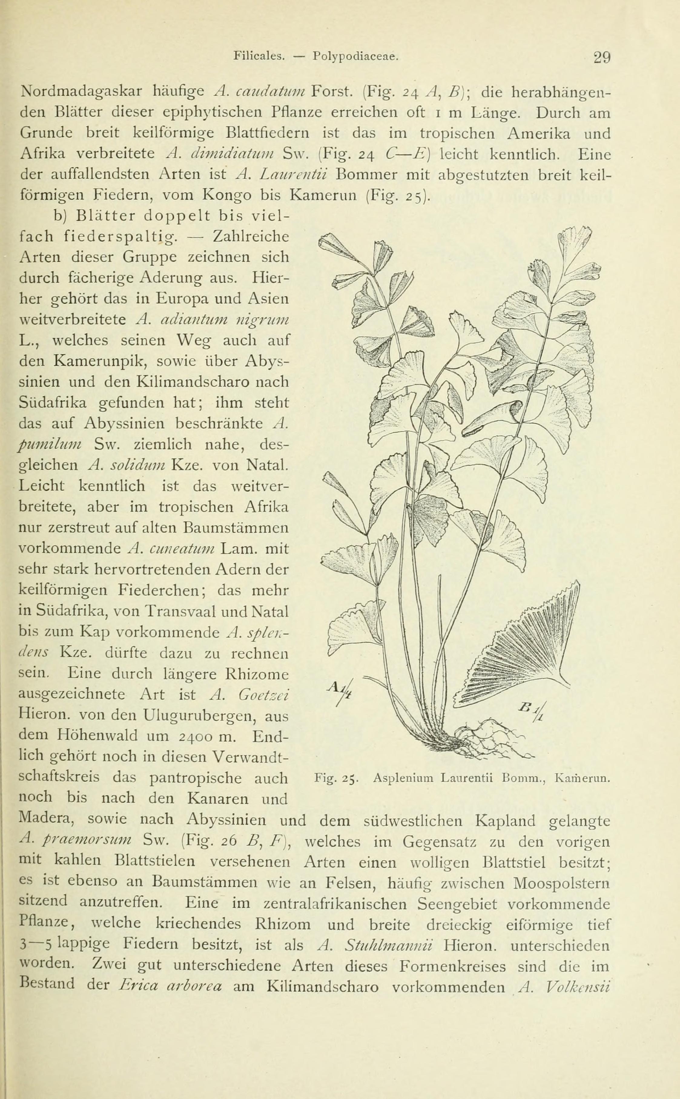 no full size  illustration available (3a)