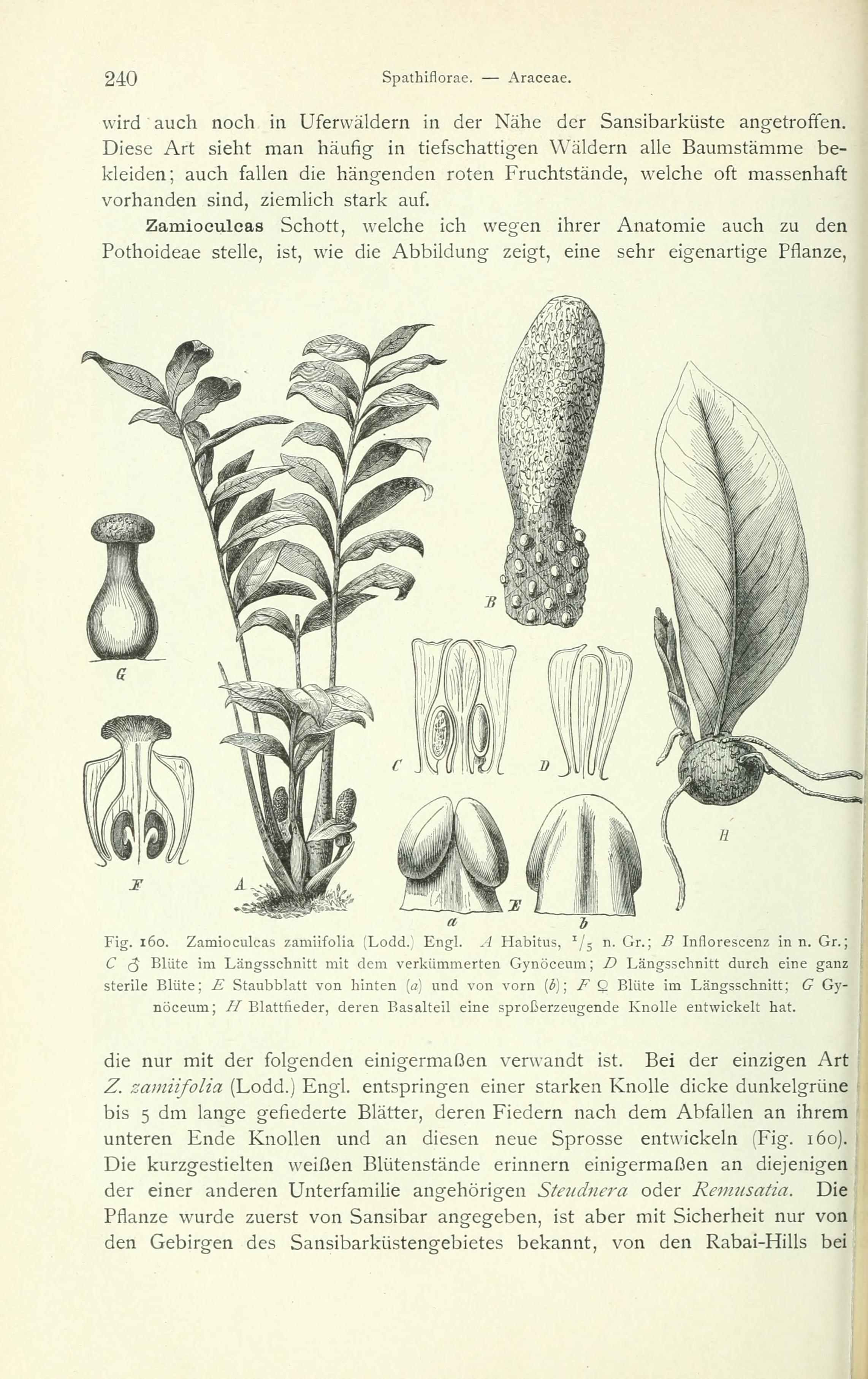 no full size  illustration available (3a)