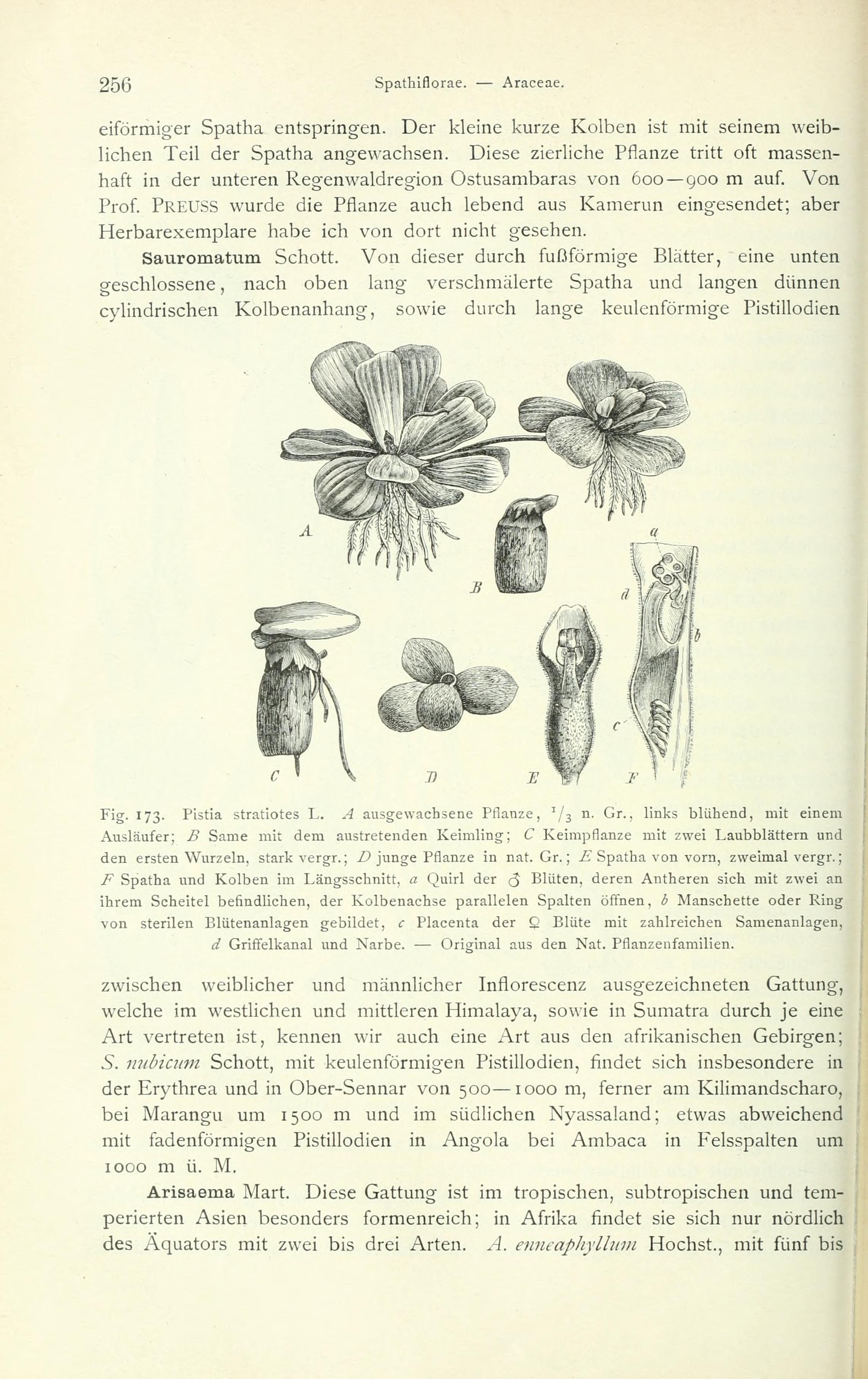 no full size  illustration available (3a)