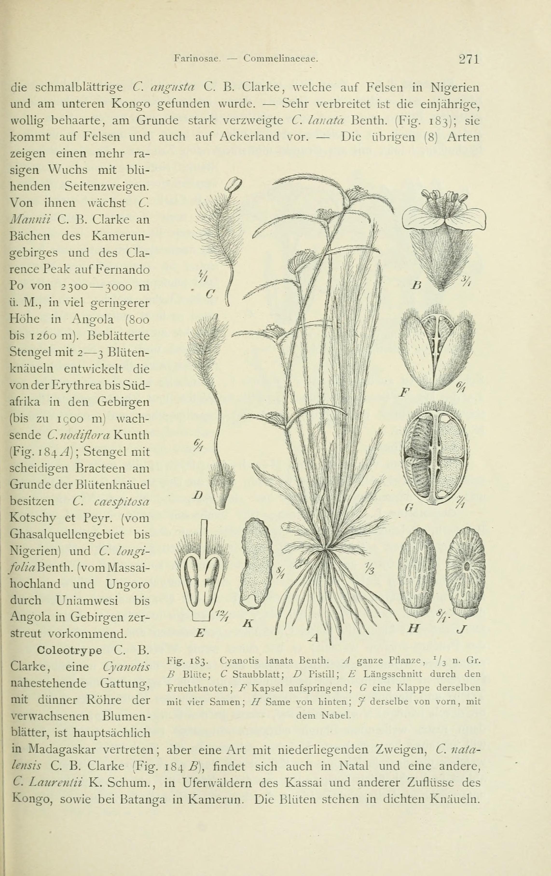 no full size  illustration available (3a)