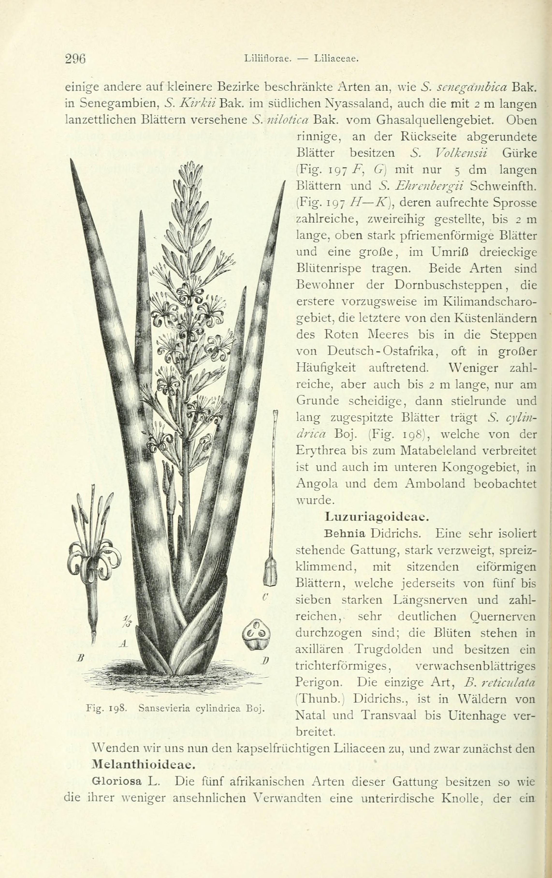 no full size  illustration available (3a)