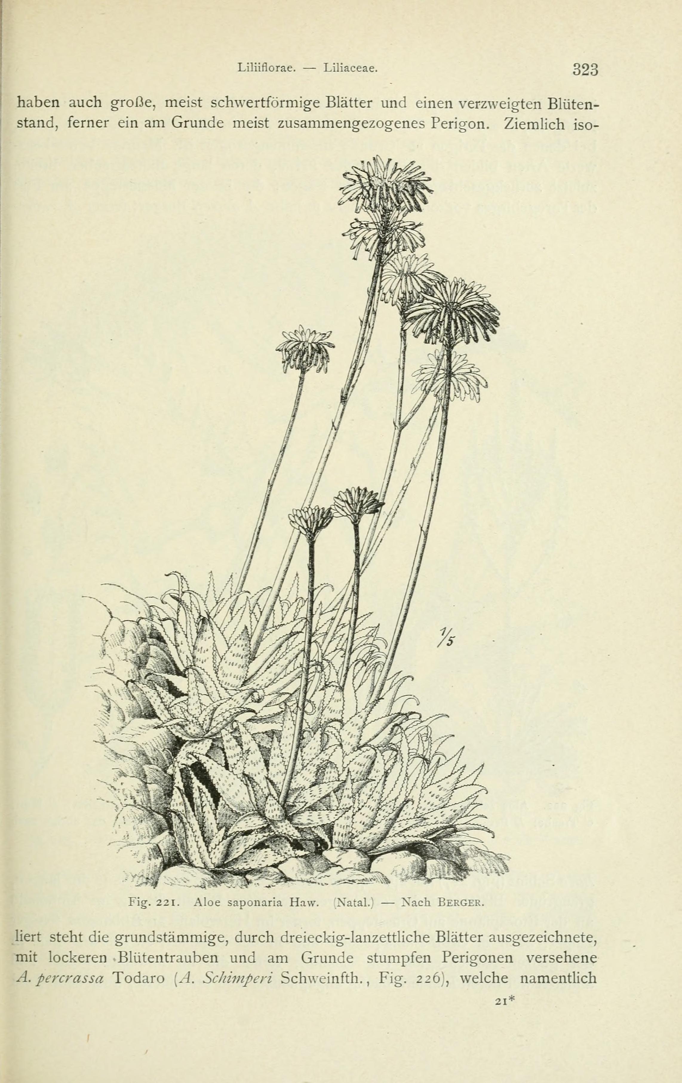 no full size  illustration available (3a)