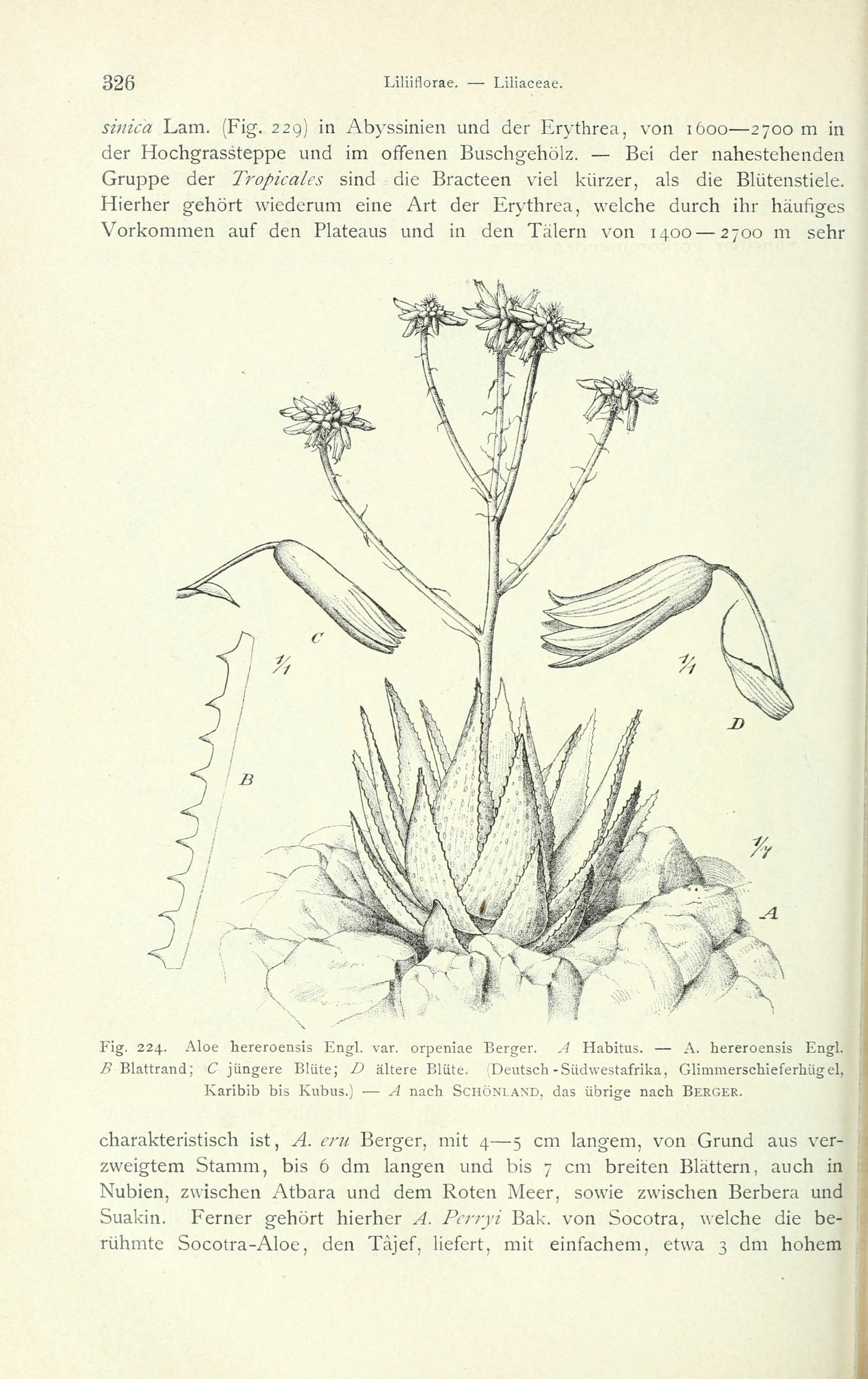 no full size  illustration available (3a)