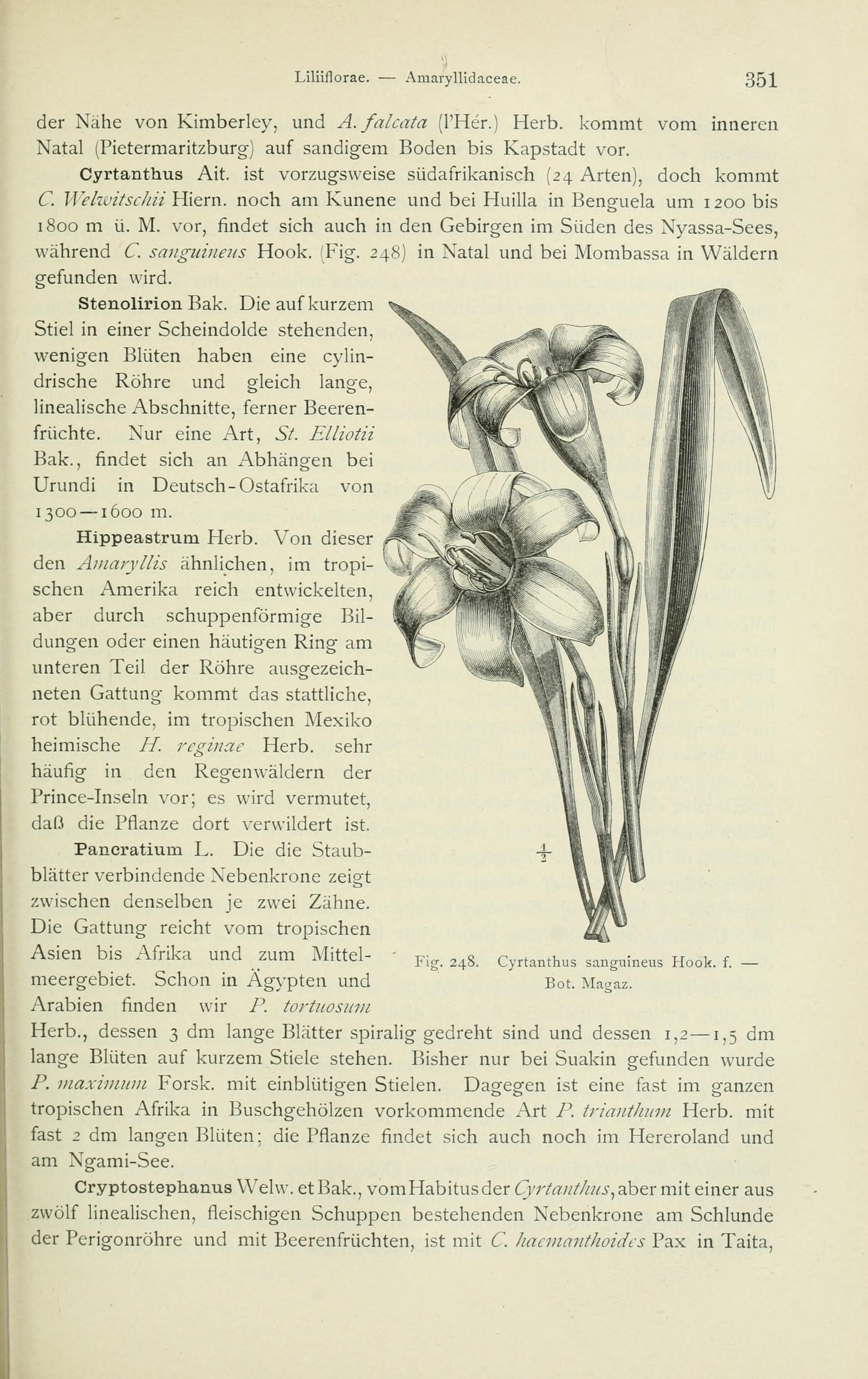 no full size  illustration available (3a)