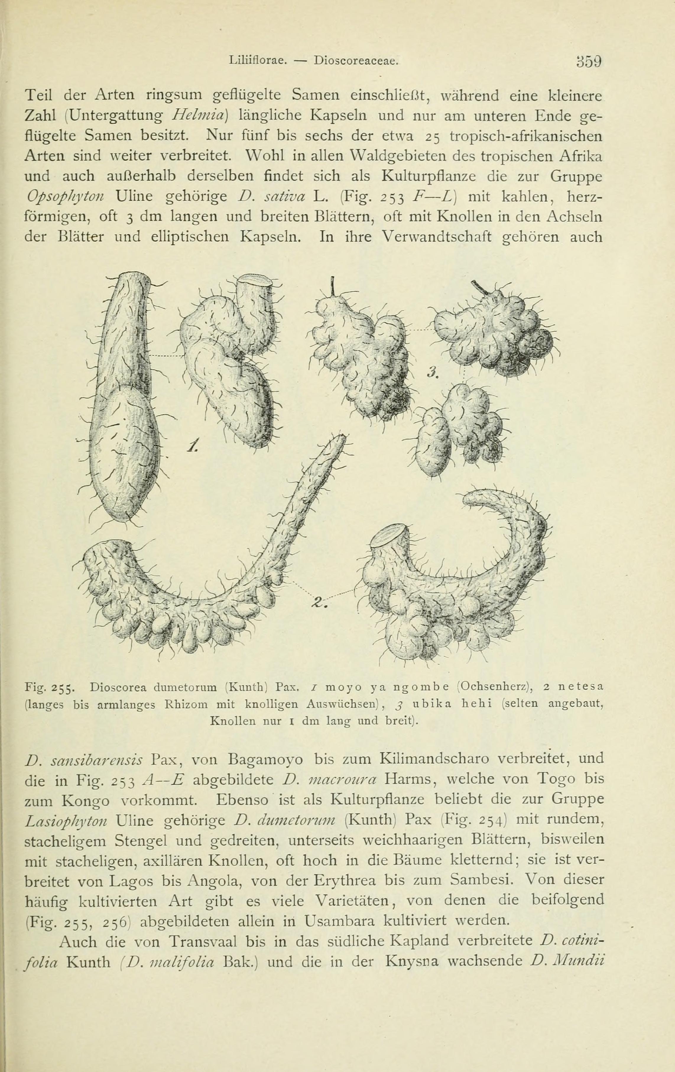 no full size  illustration available (3a)