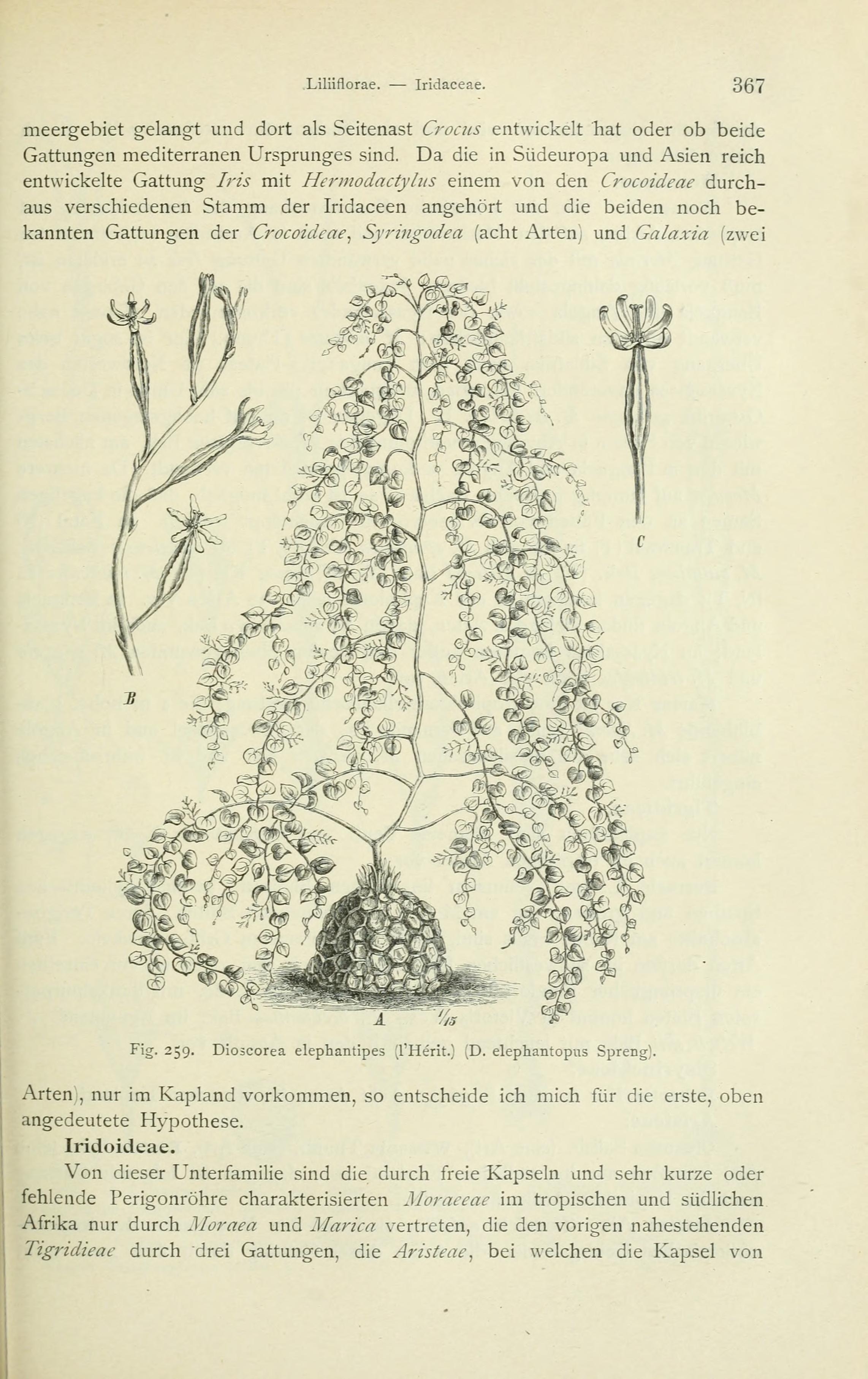 no full size  illustration available (3a)