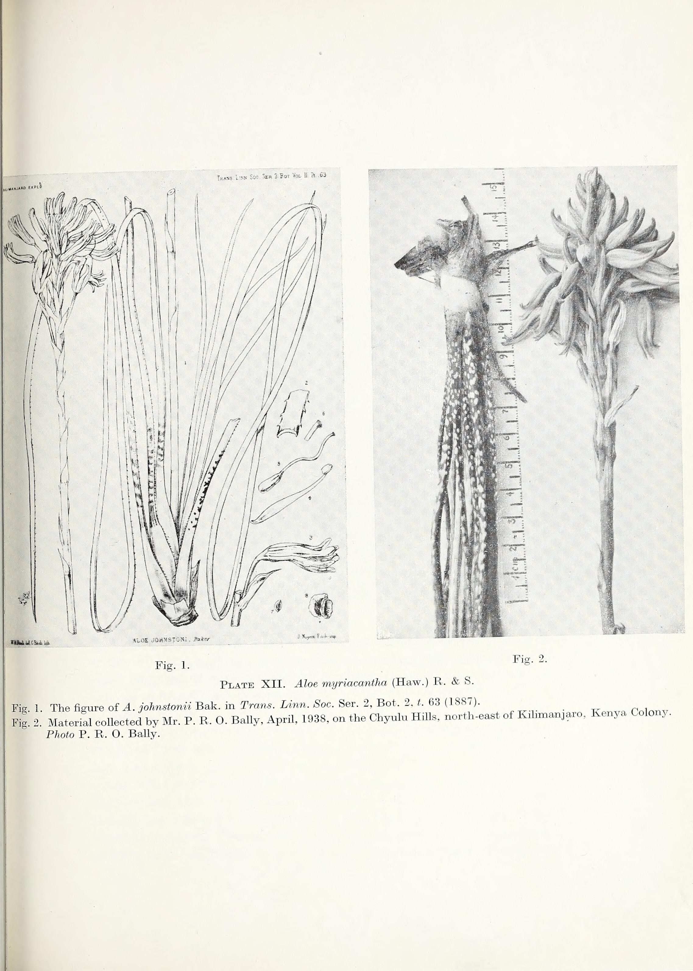 no full size  illustration available (3a)