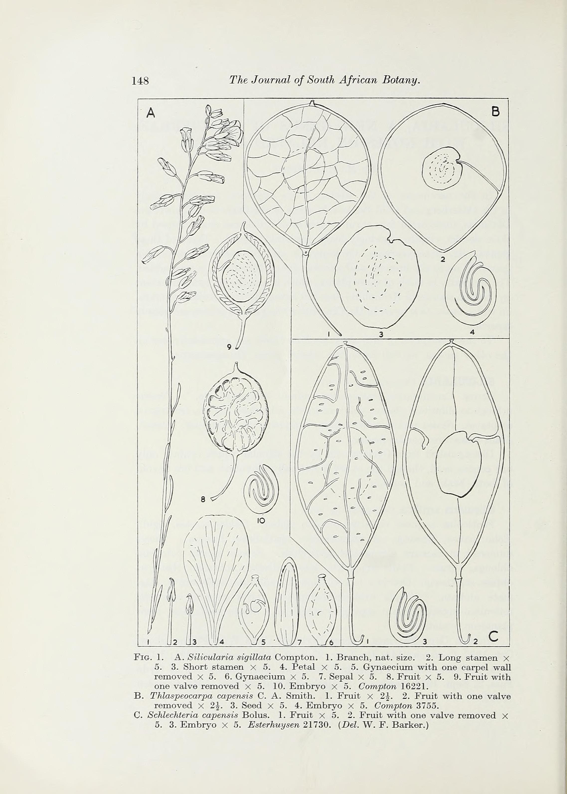 no full size  illustration available (3a)