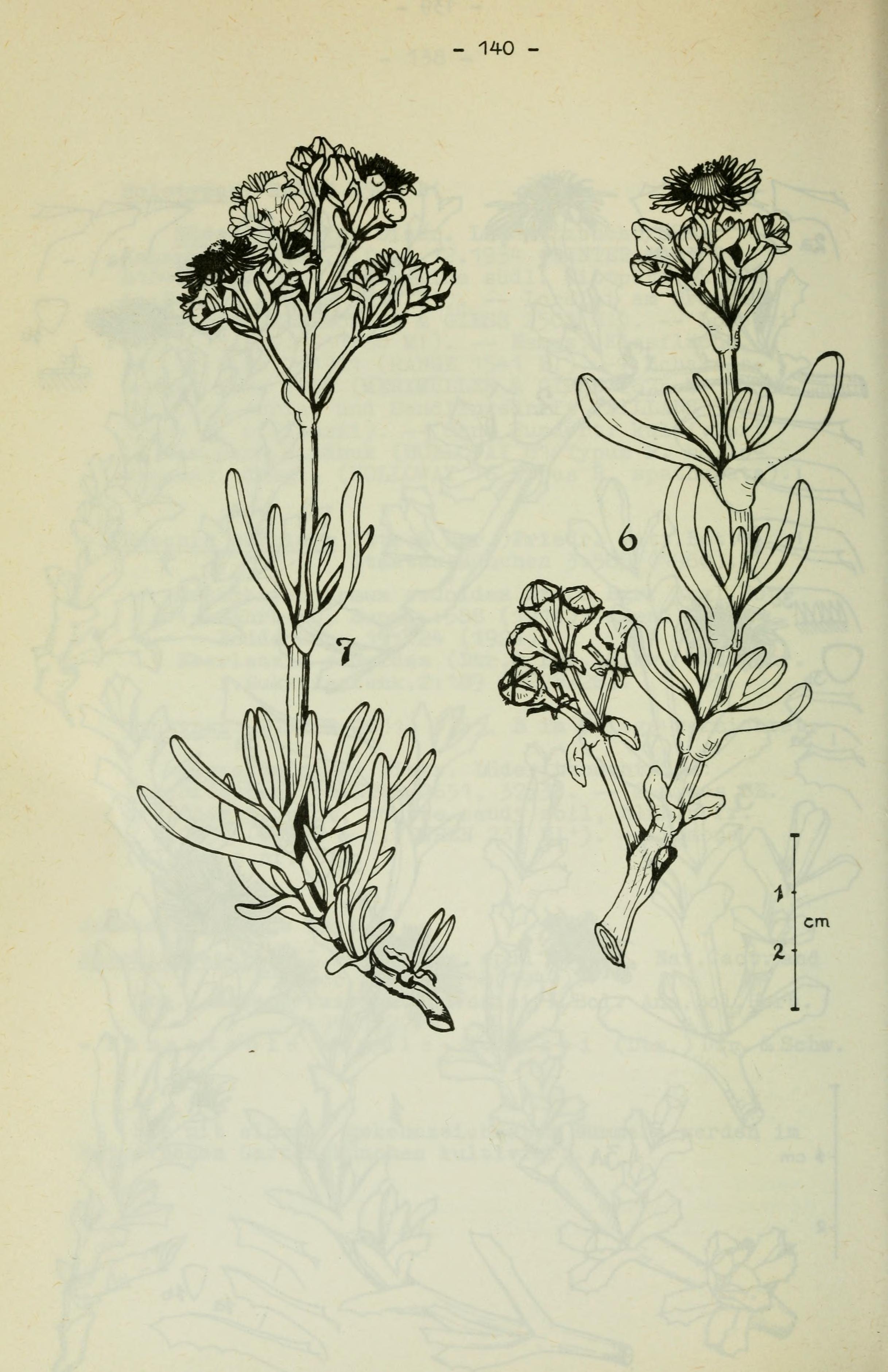 no full size  illustration available (3a)