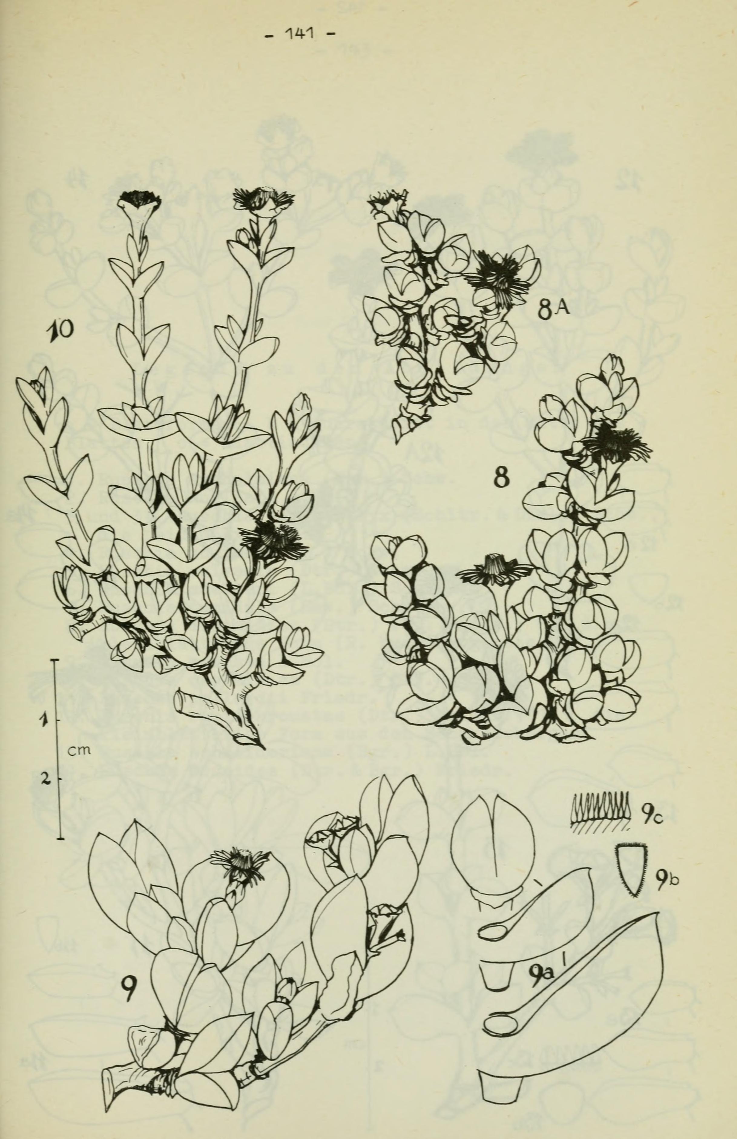 no full size  illustration available (3a)