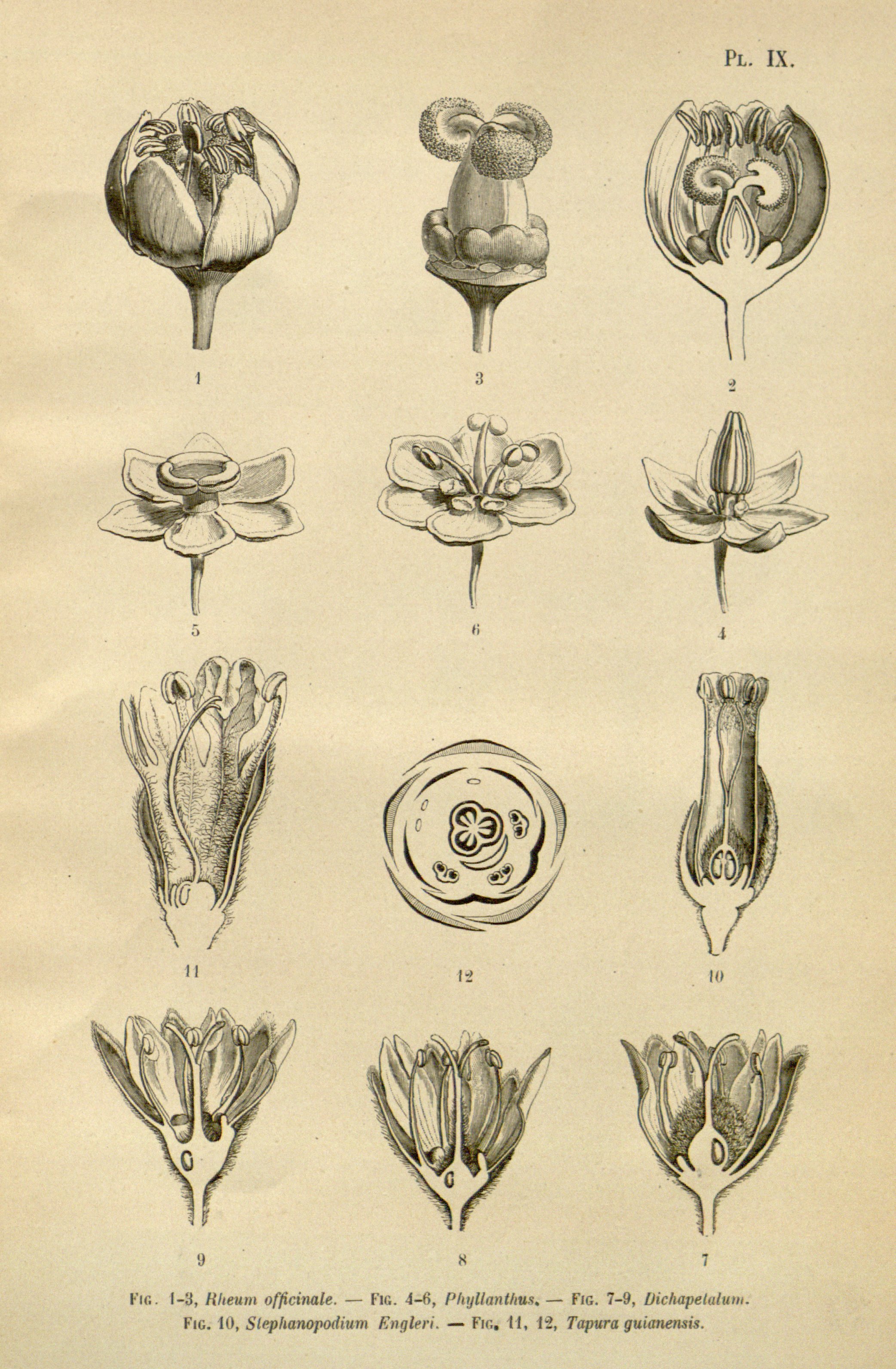 no full size  illustration available (3a)