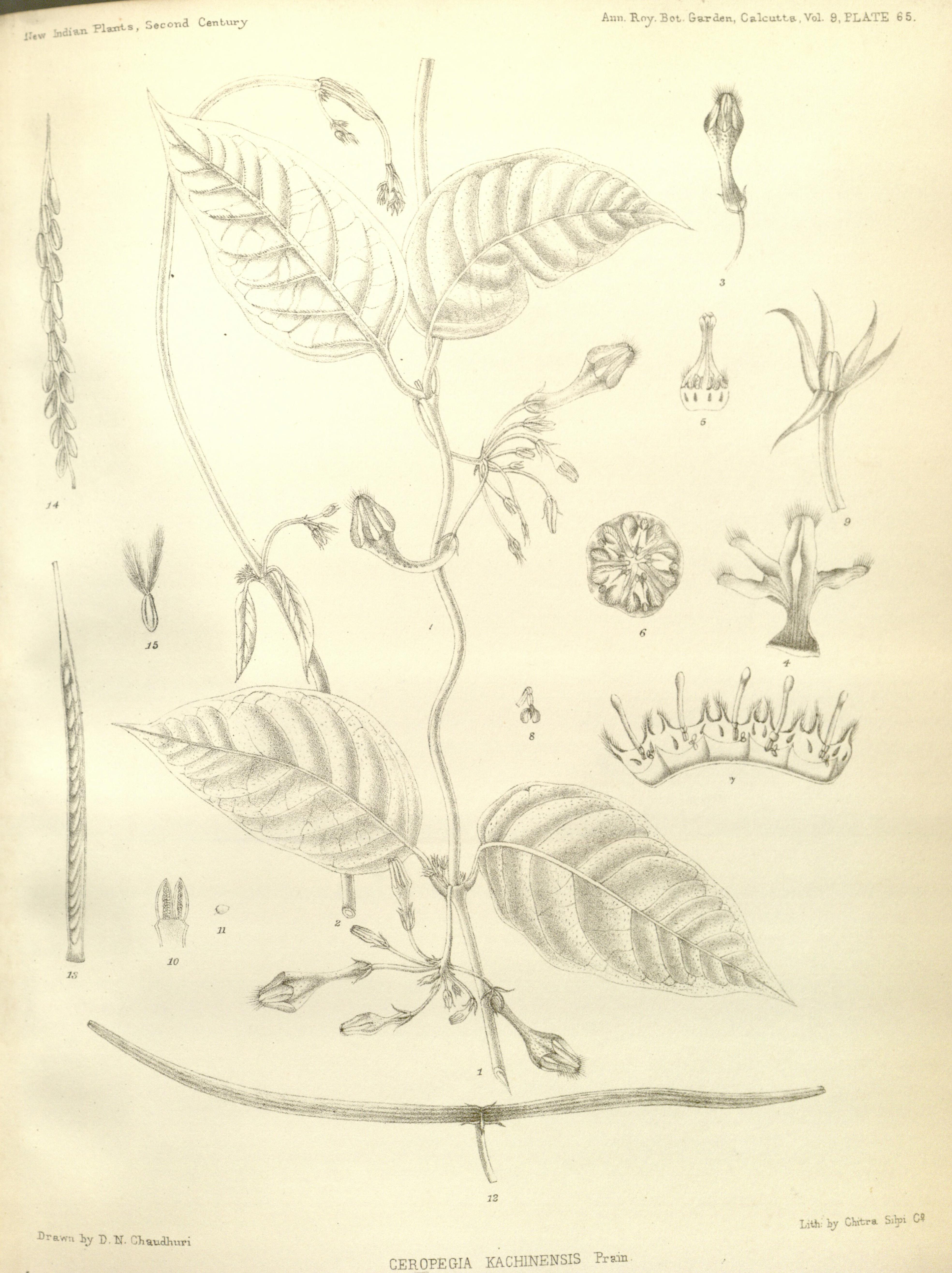 no full size  illustration available (3a)