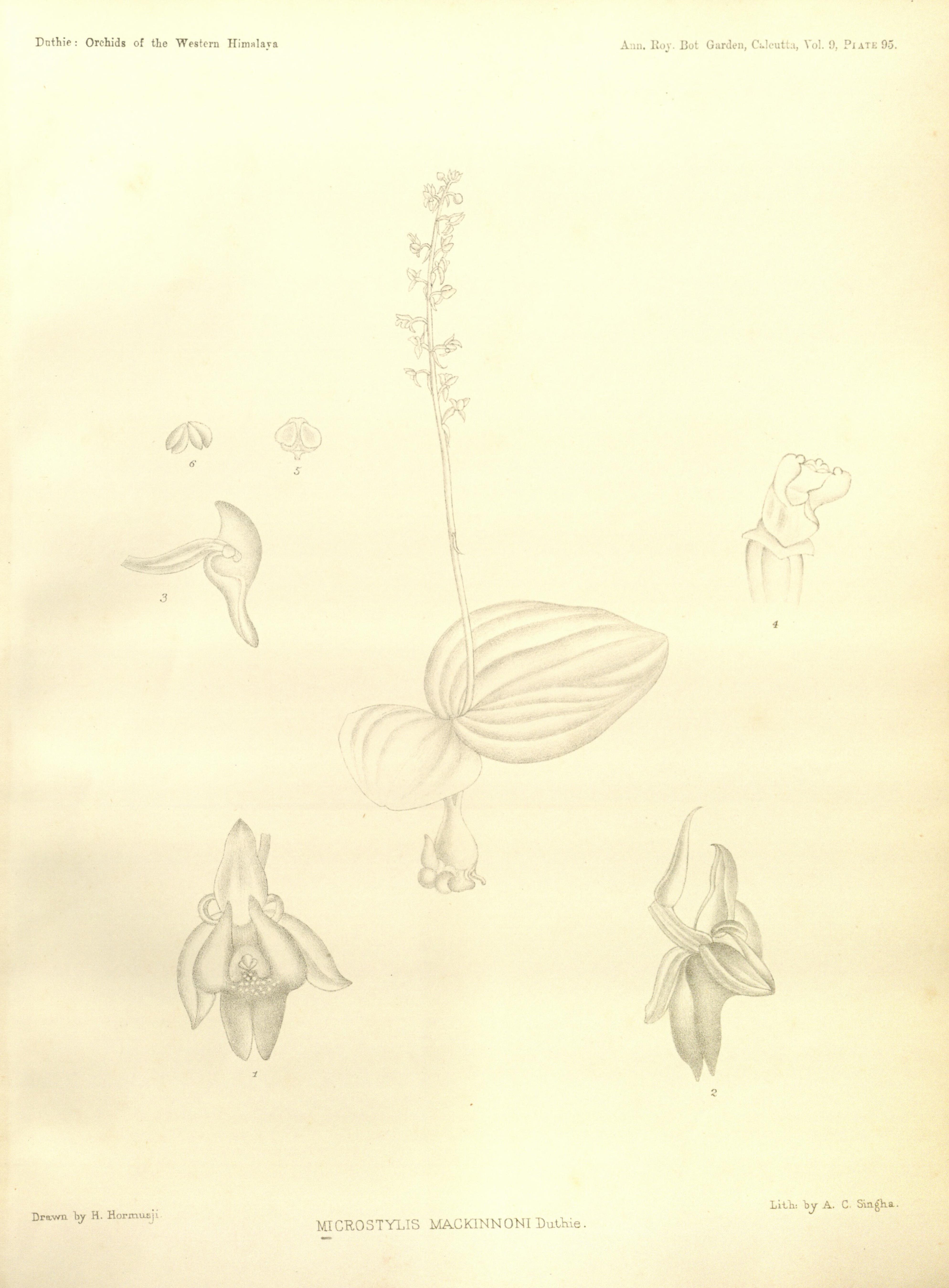 no full size  illustration available (3a)