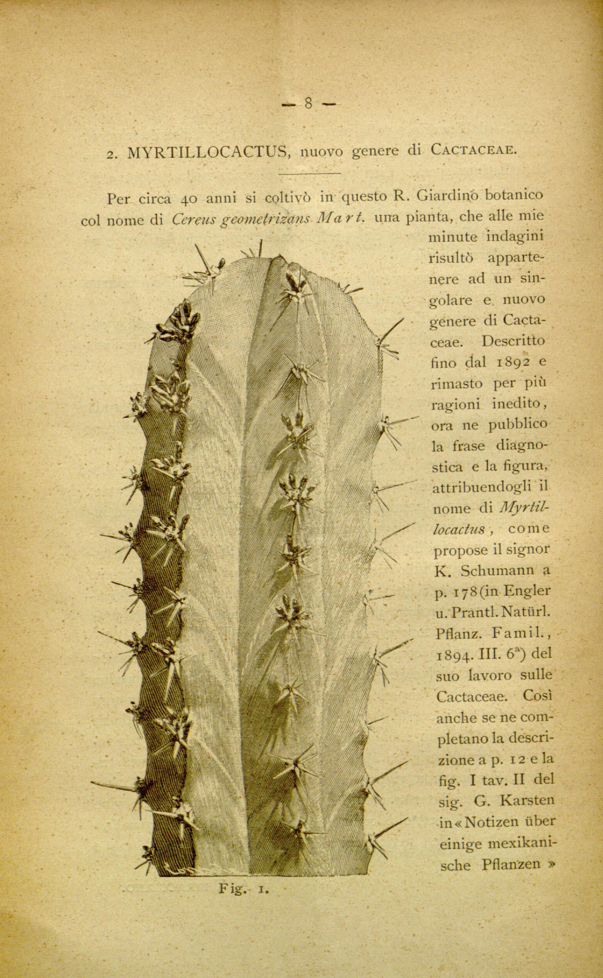 no full size  illustration available (3a)