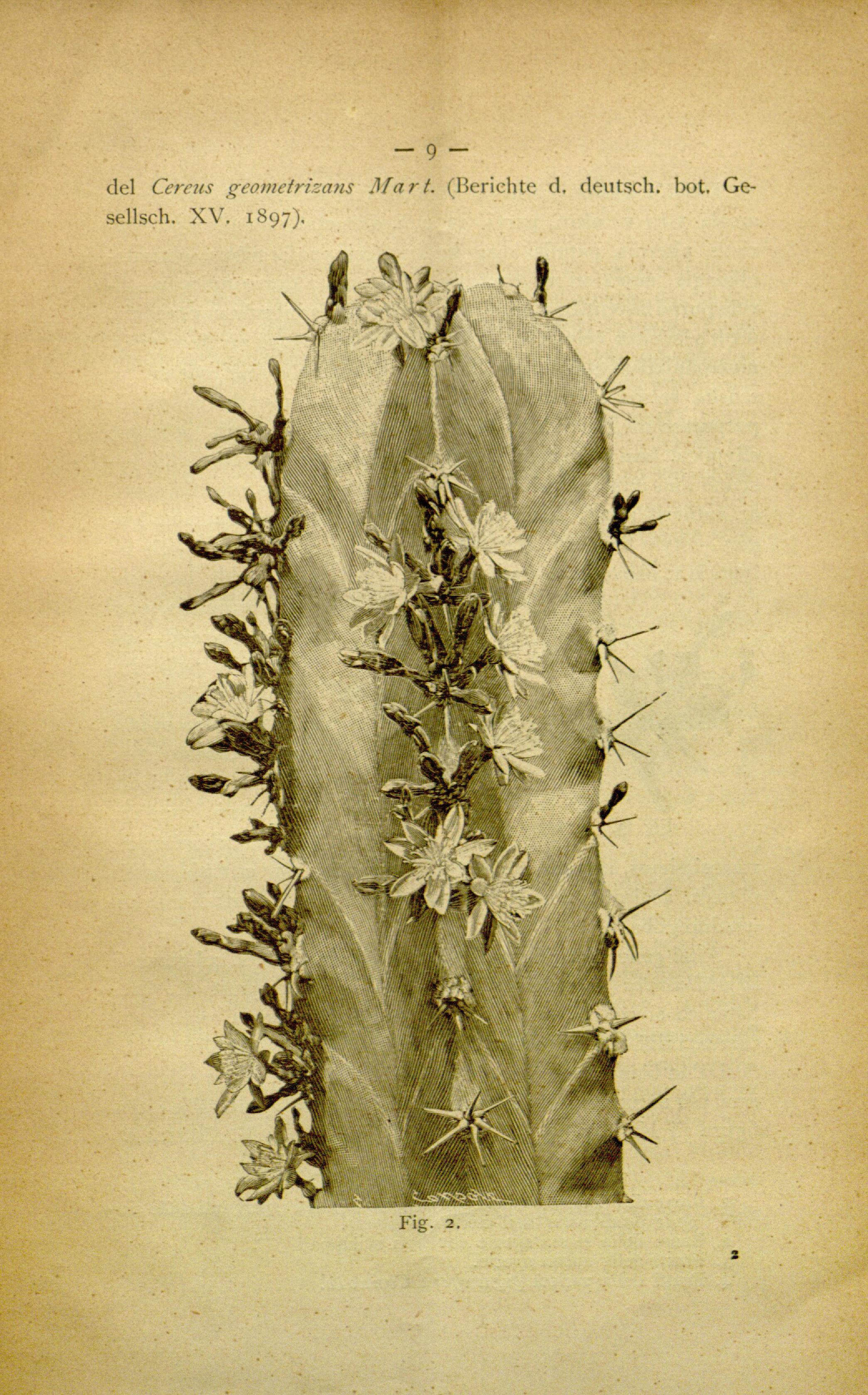 no full size  illustration available (3a)