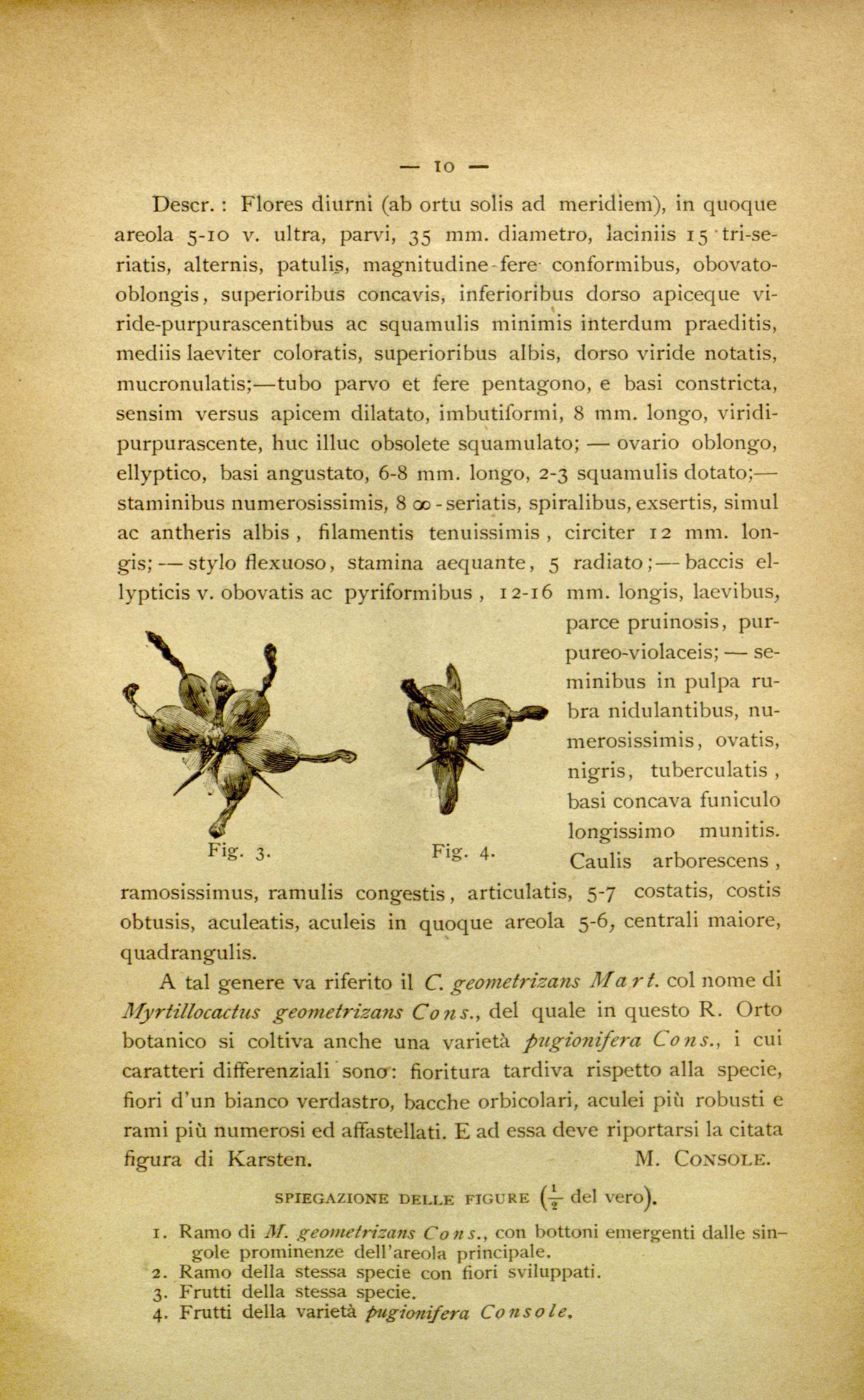 no full size  illustration available (3a)