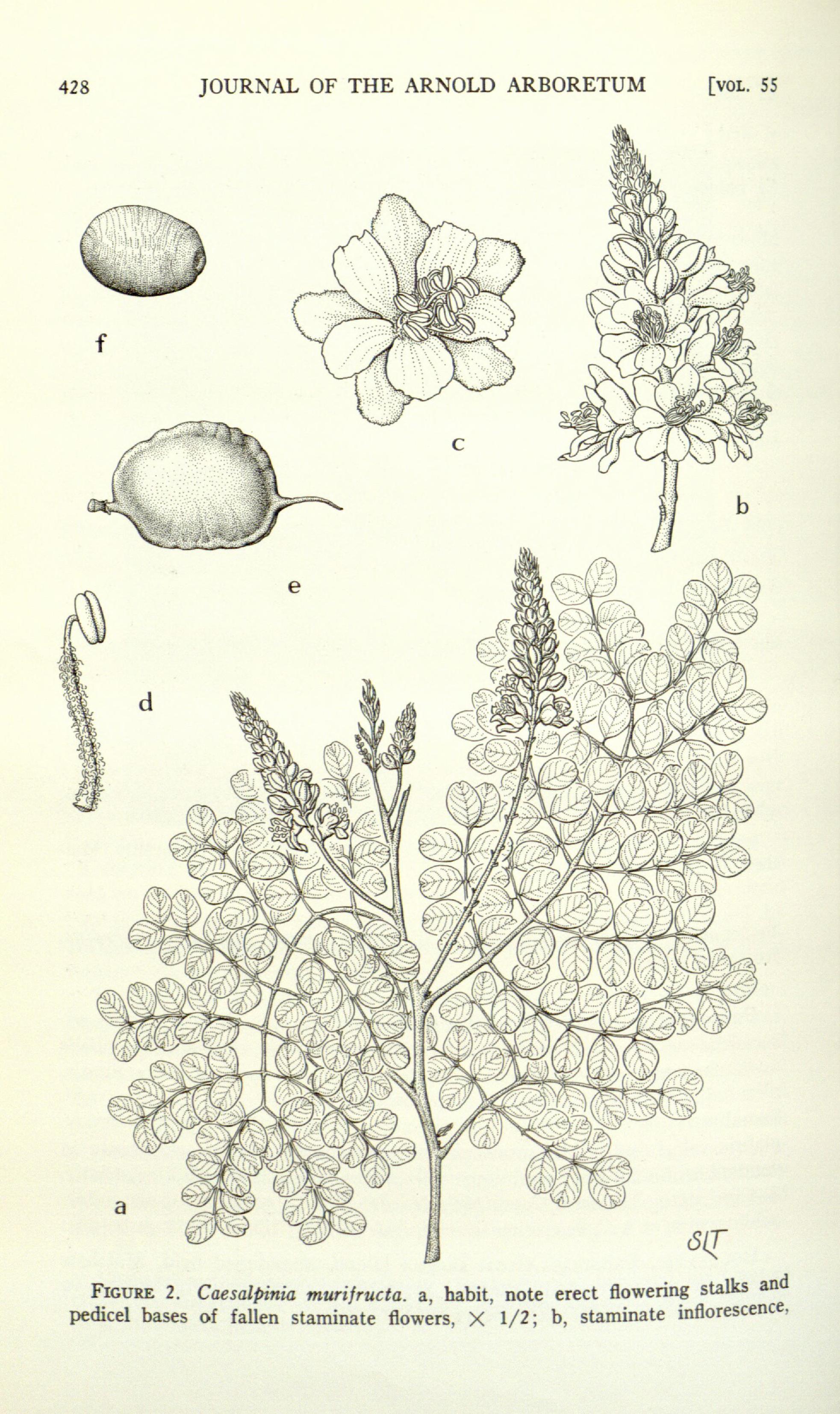 no full size  illustration available (3a)