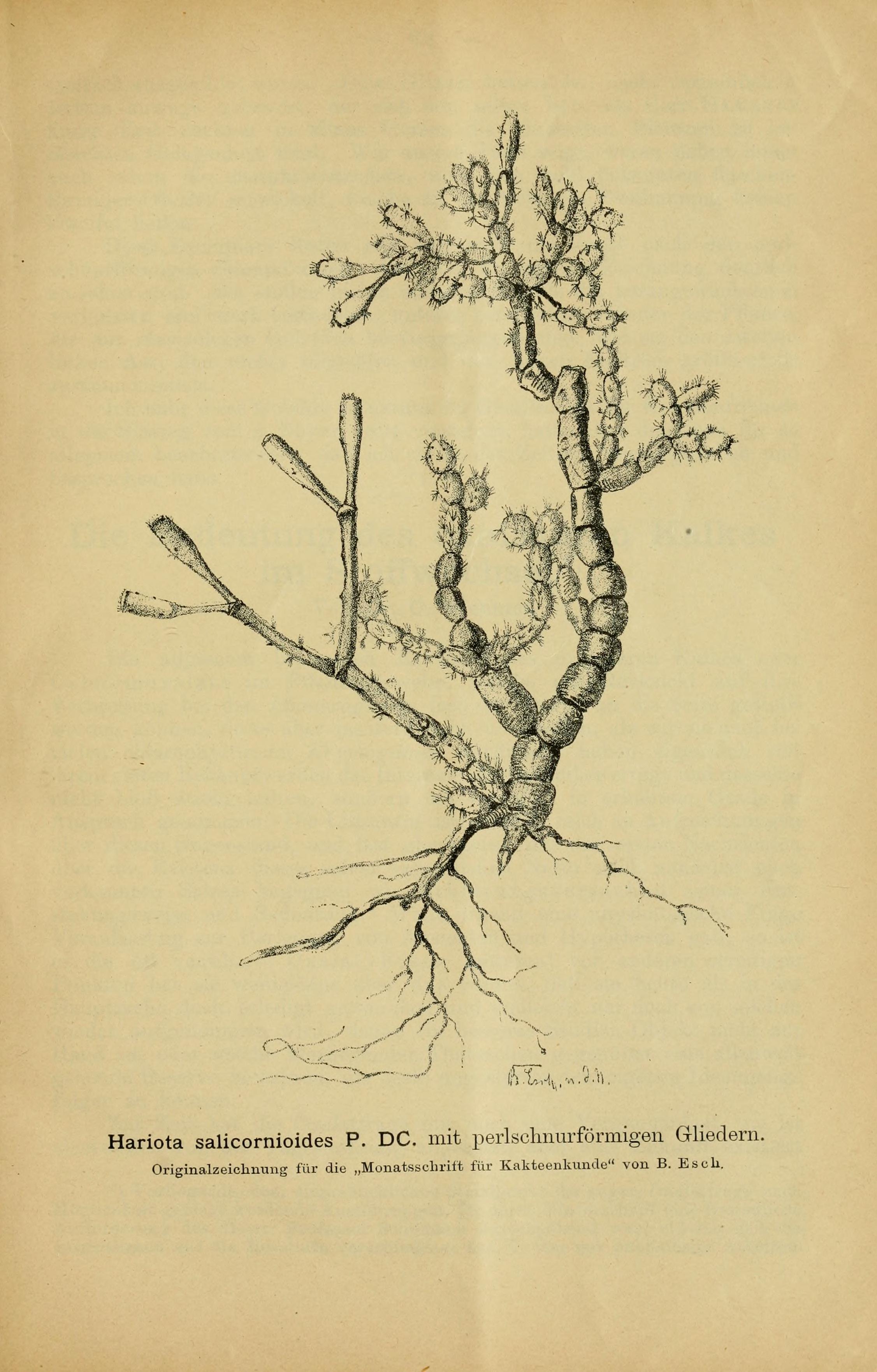 no full size  illustration available (3a)