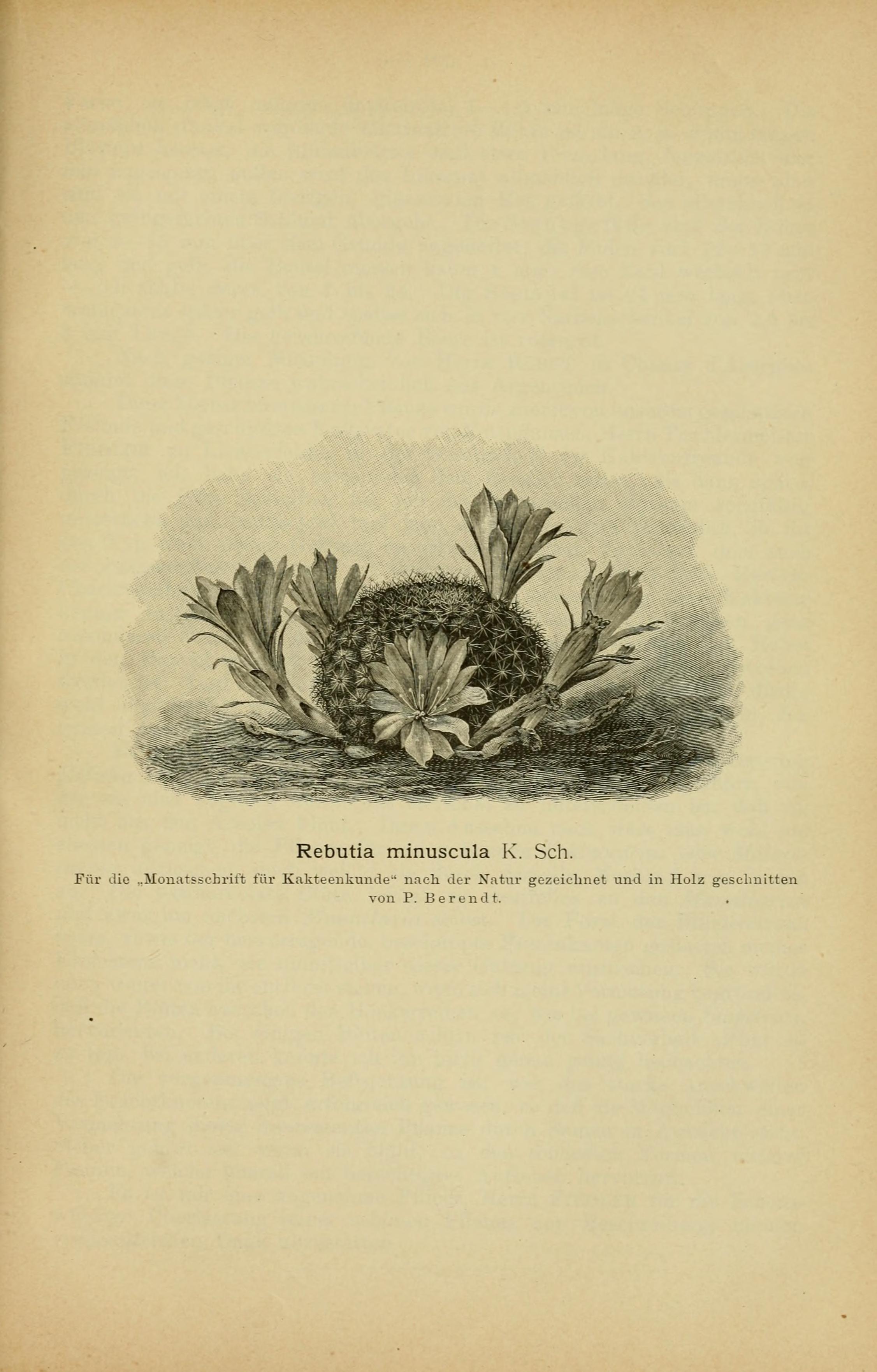 no full size  illustration available (3a)