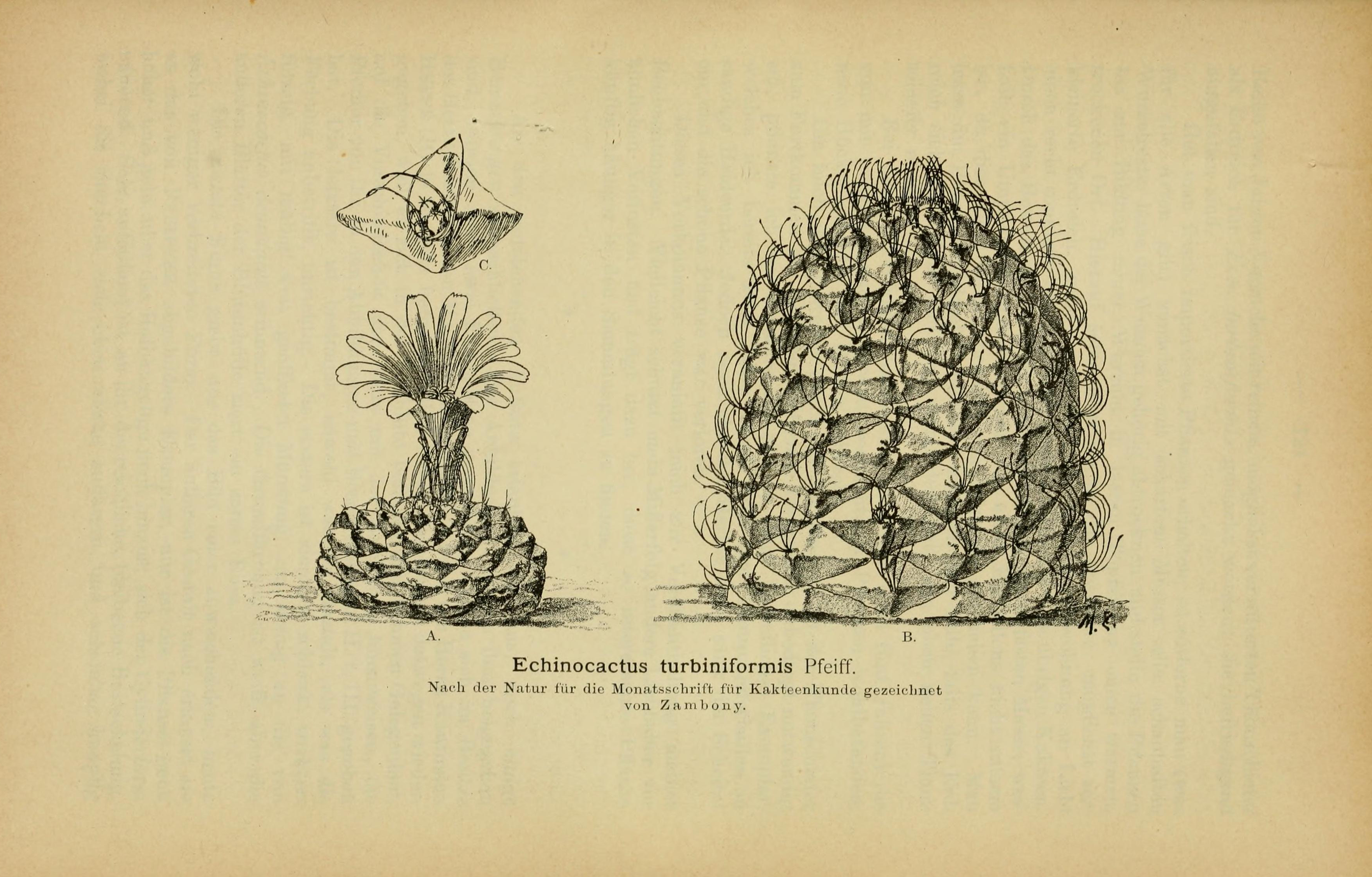 no full size  illustration available (3a)