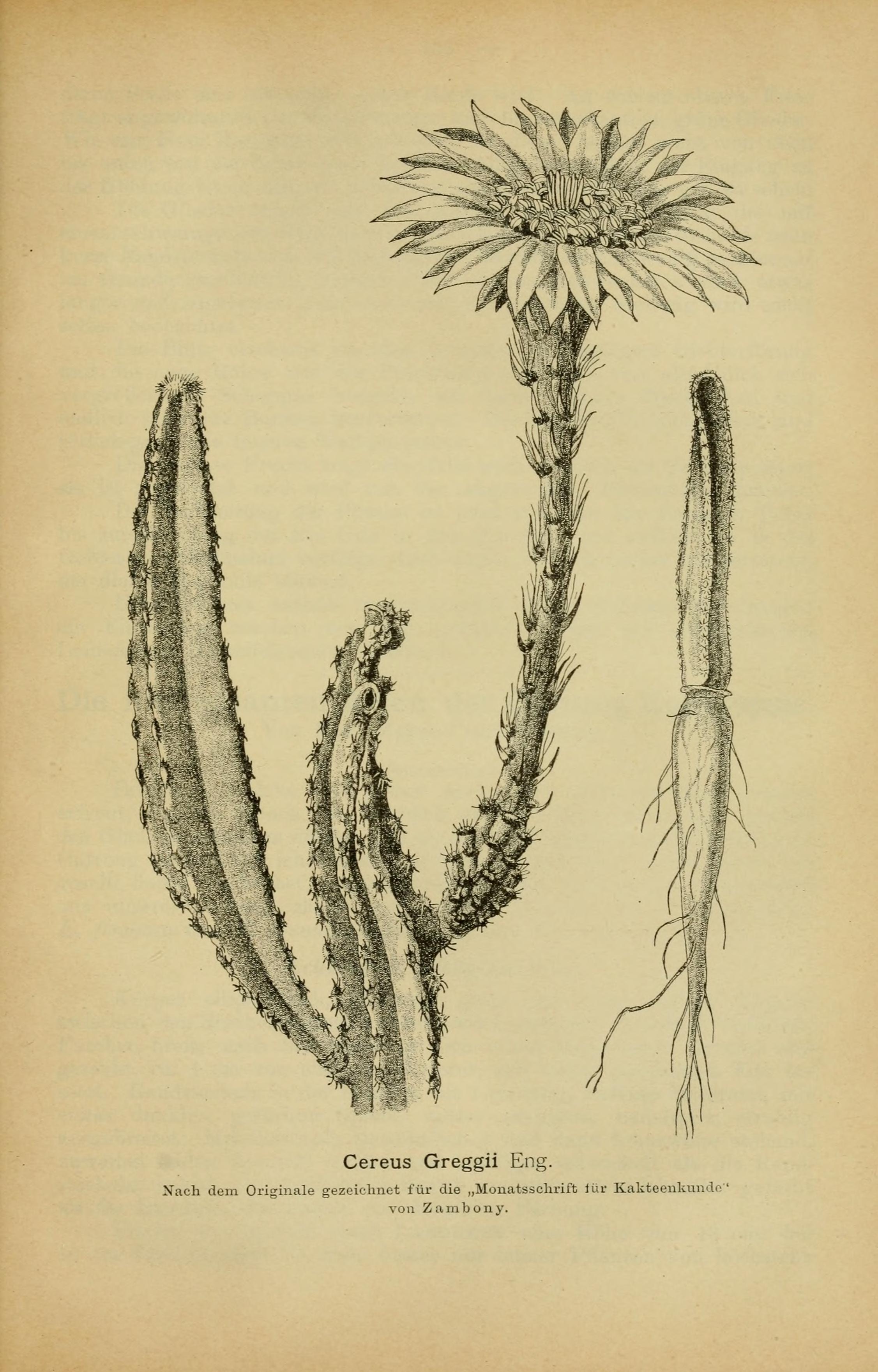 no full size  illustration available (3a)