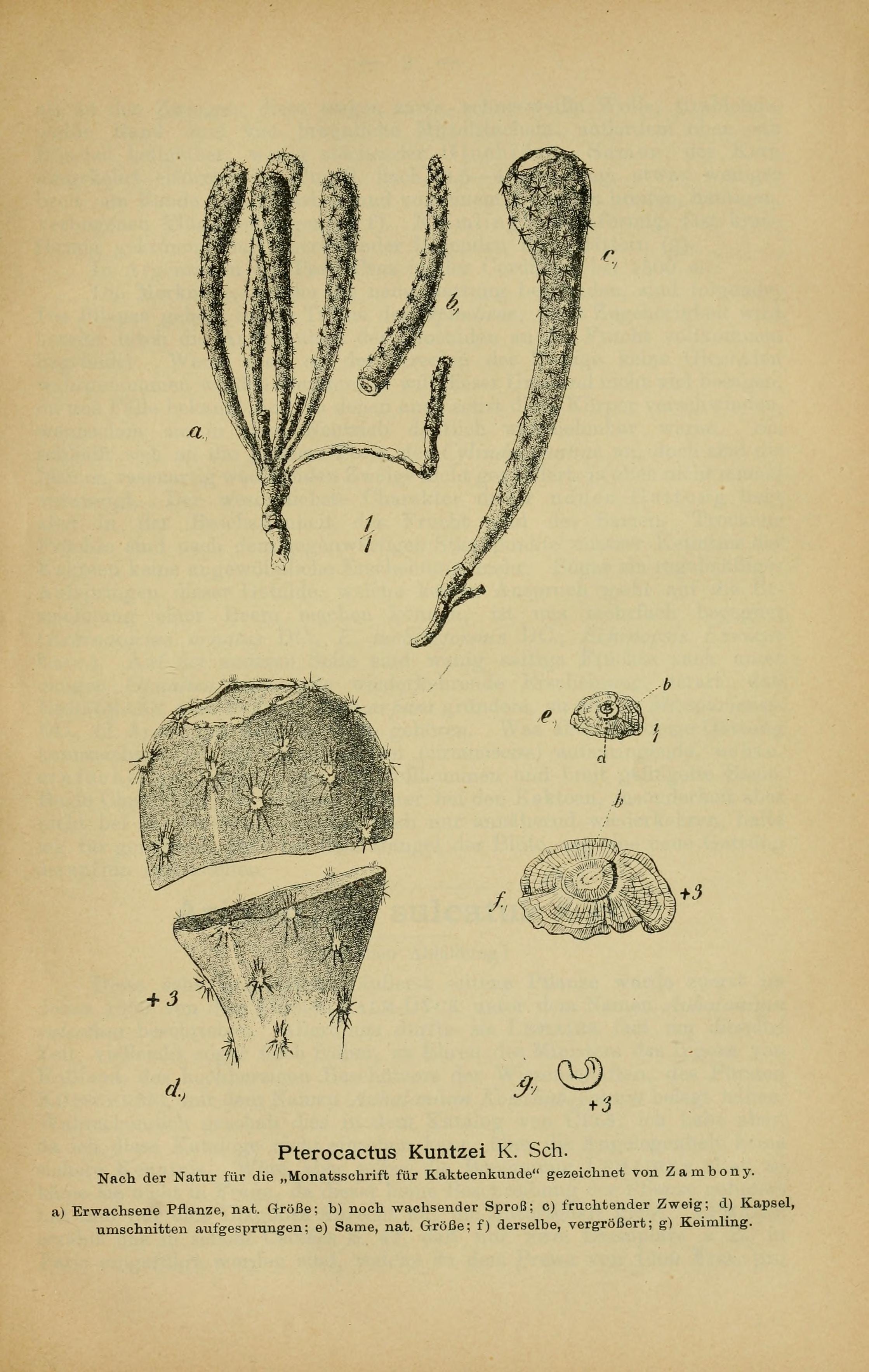 no full size  illustration available (3a)