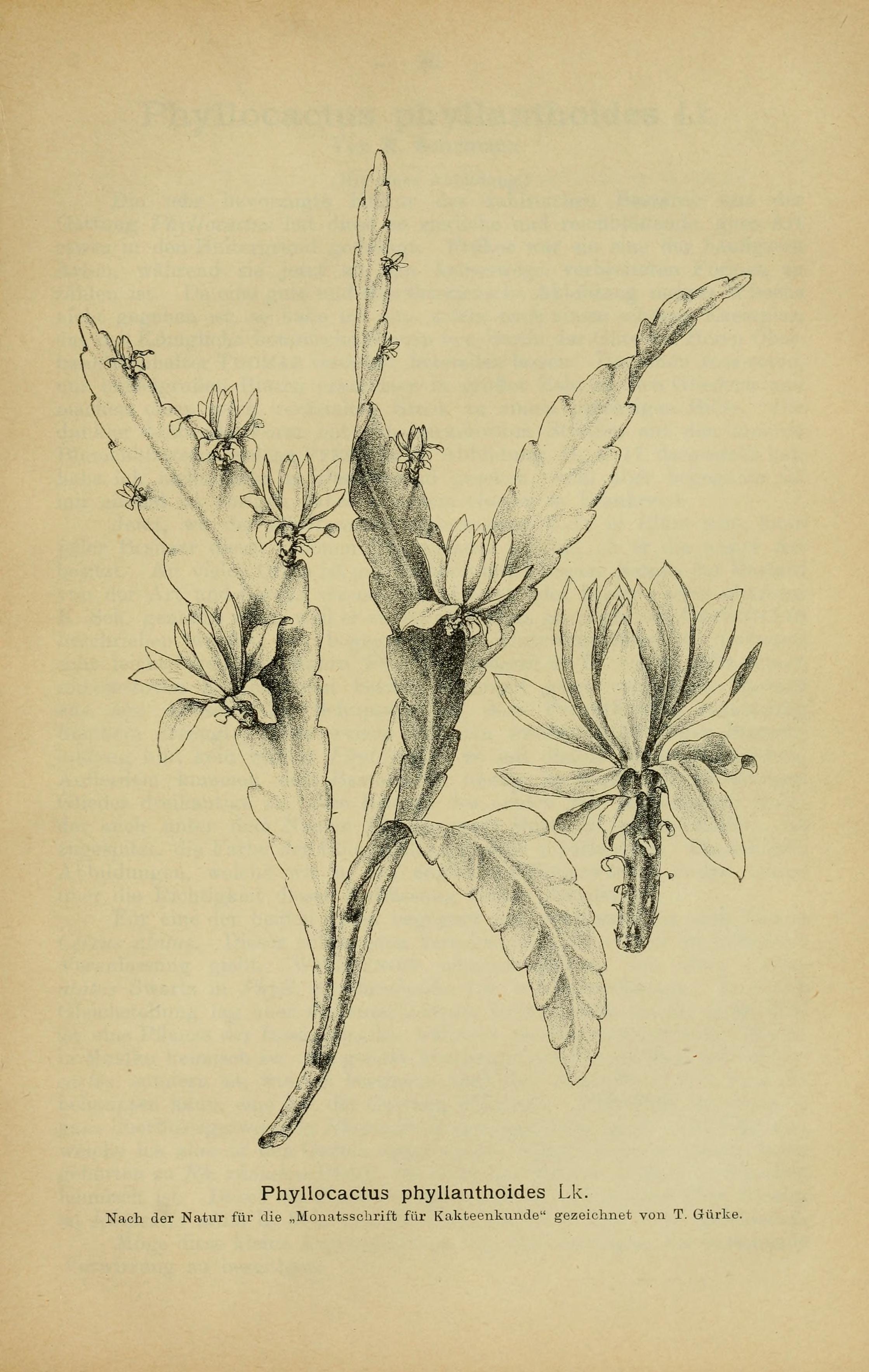 no full size  illustration available (3a)