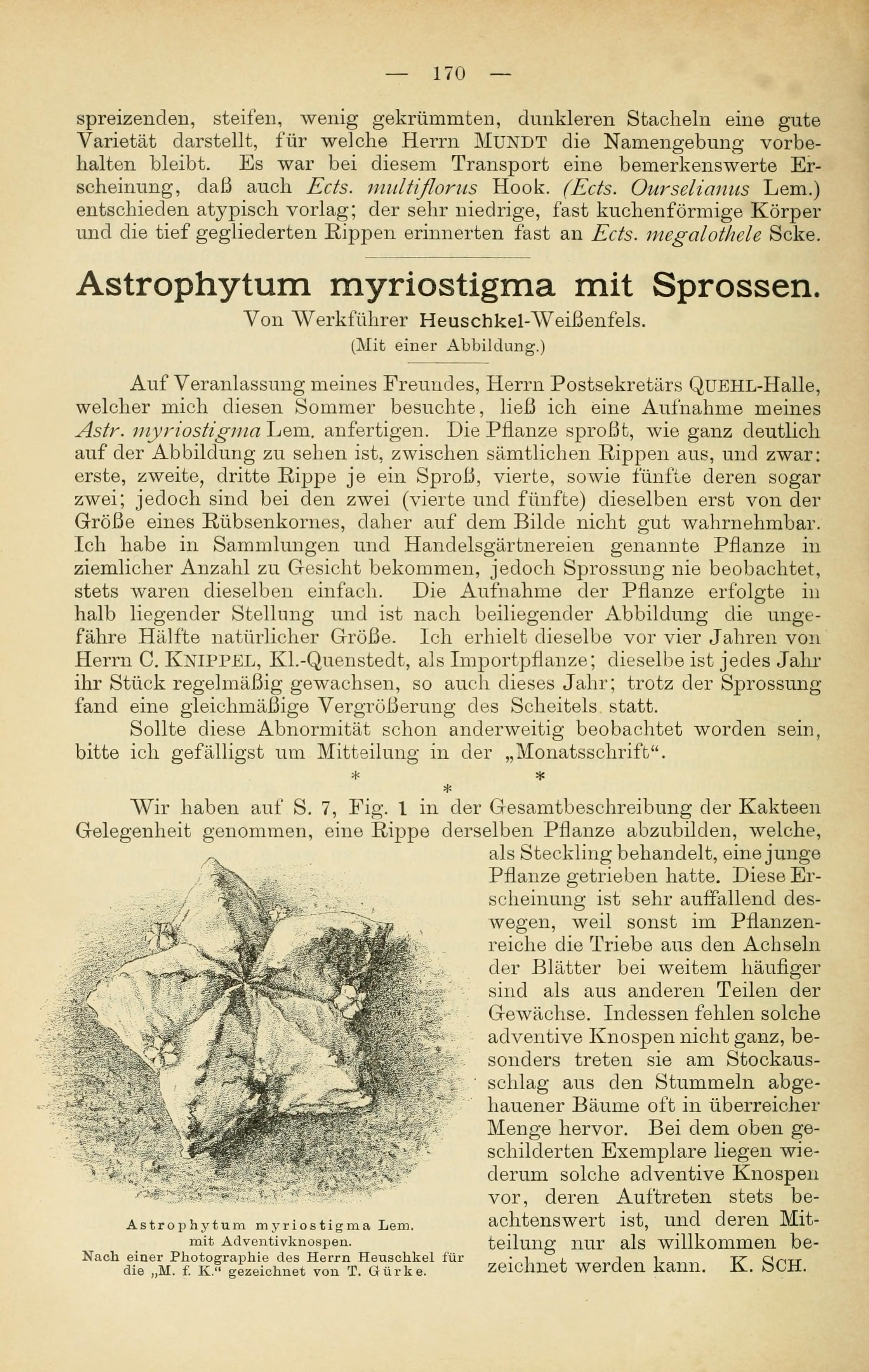 no full size  illustration available (3a)