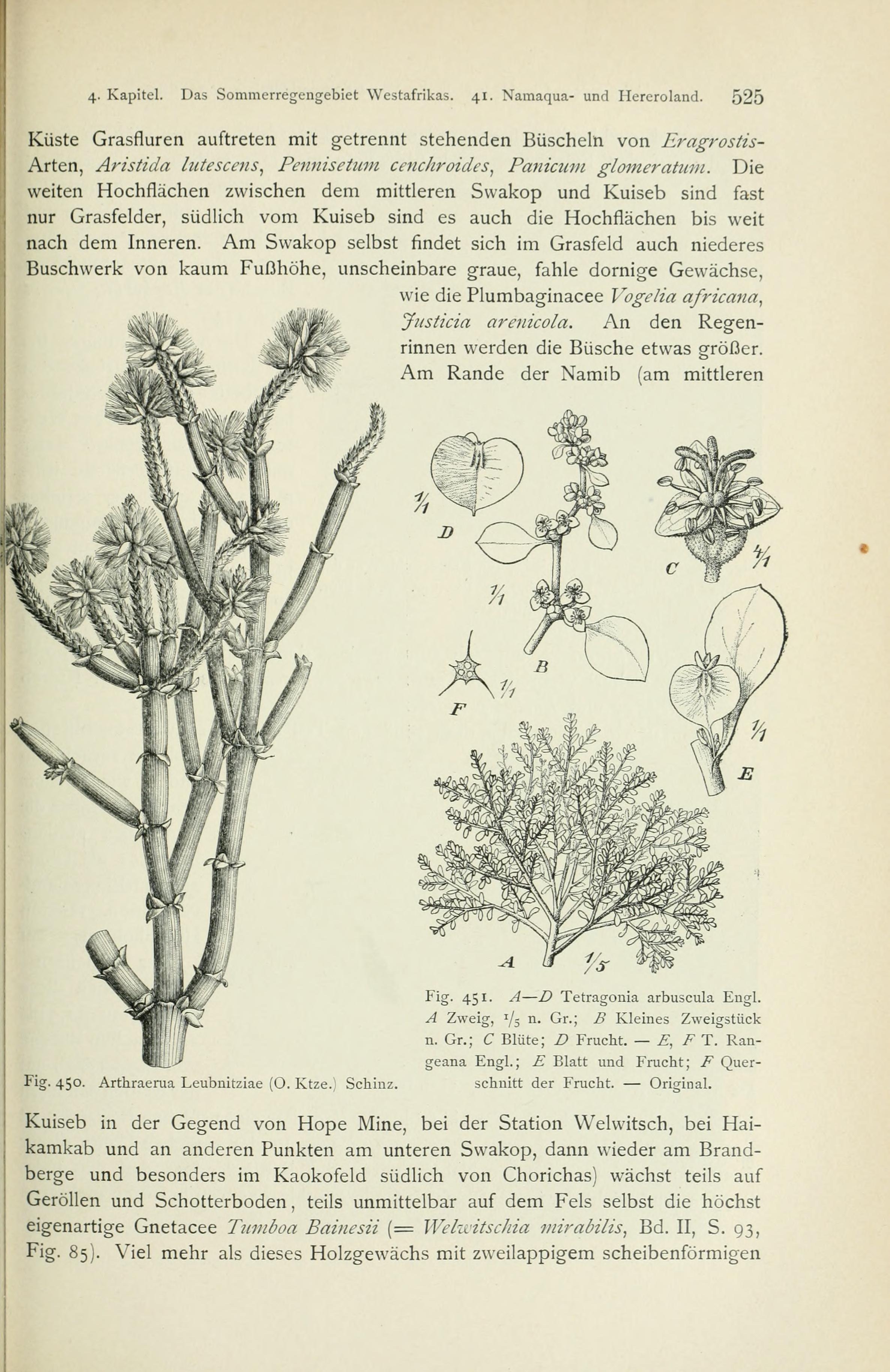 no full size  illustration available (3a)