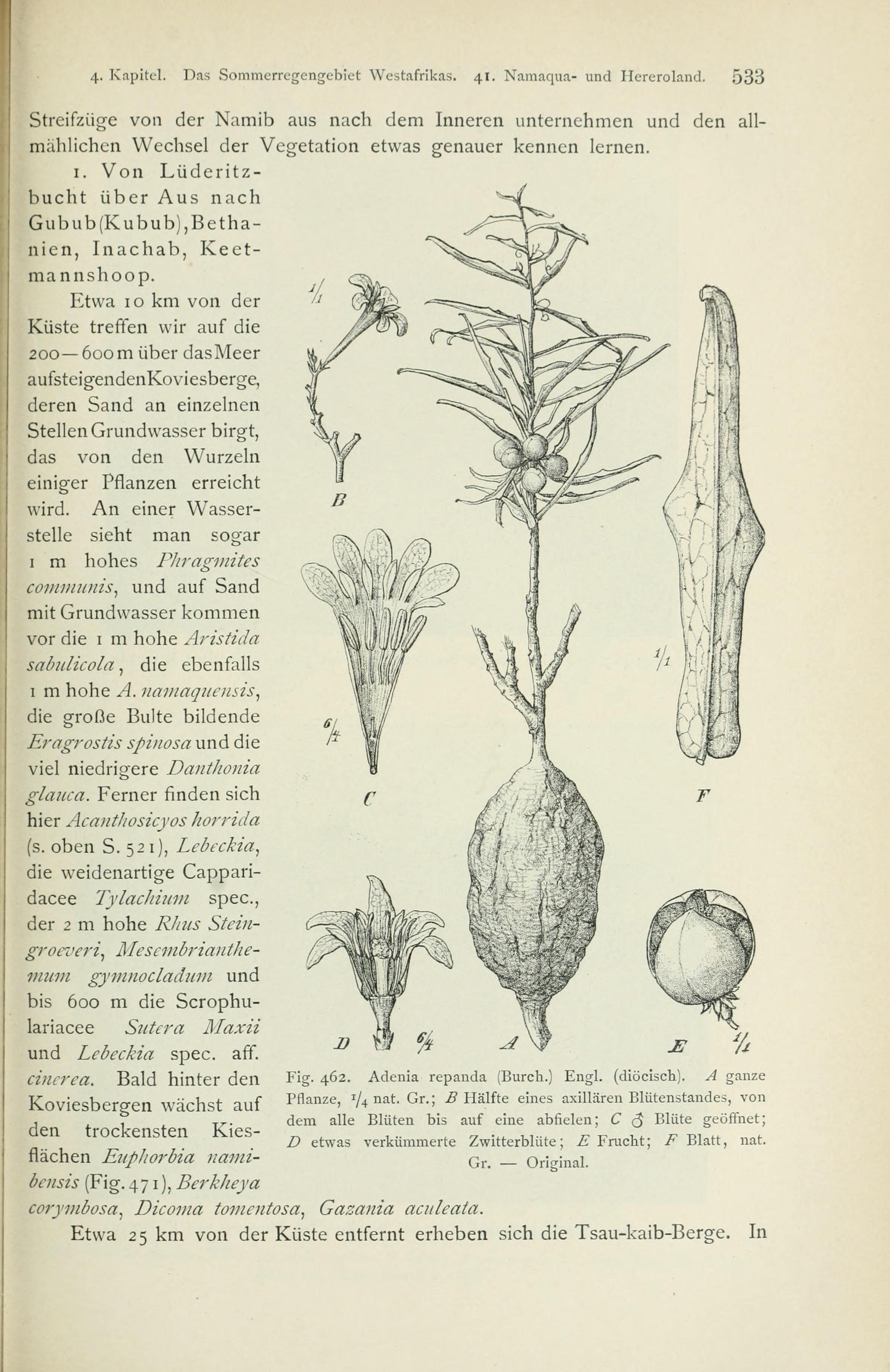 no full size  illustration available (3a)