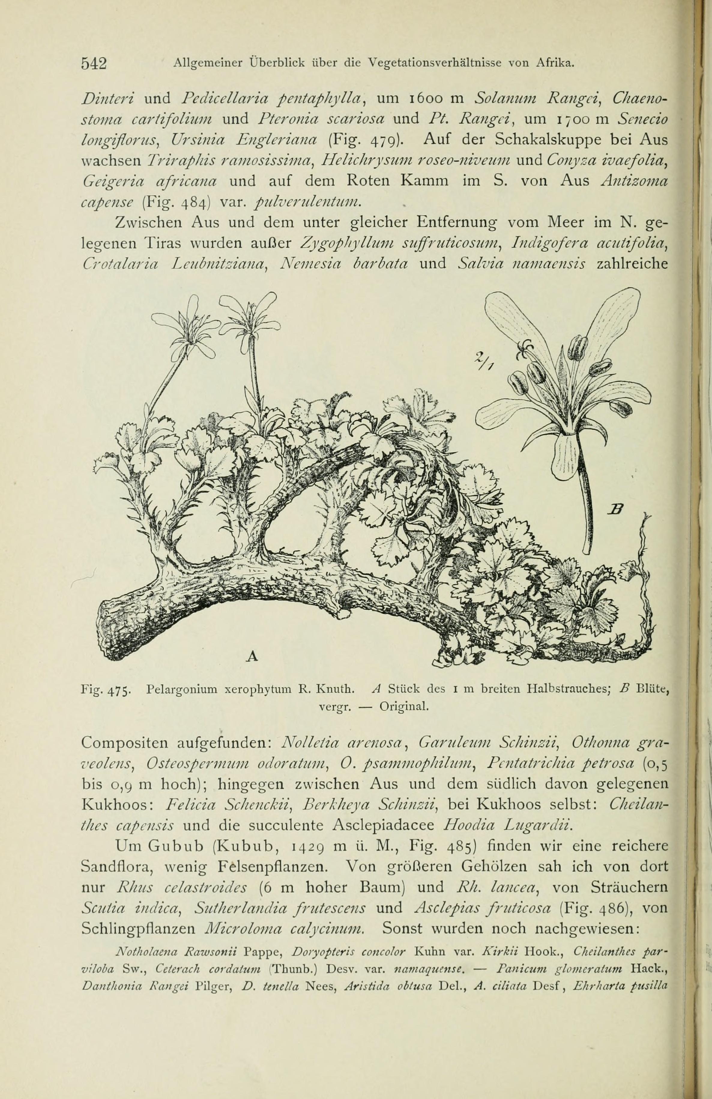 no full size  illustration available (3a)