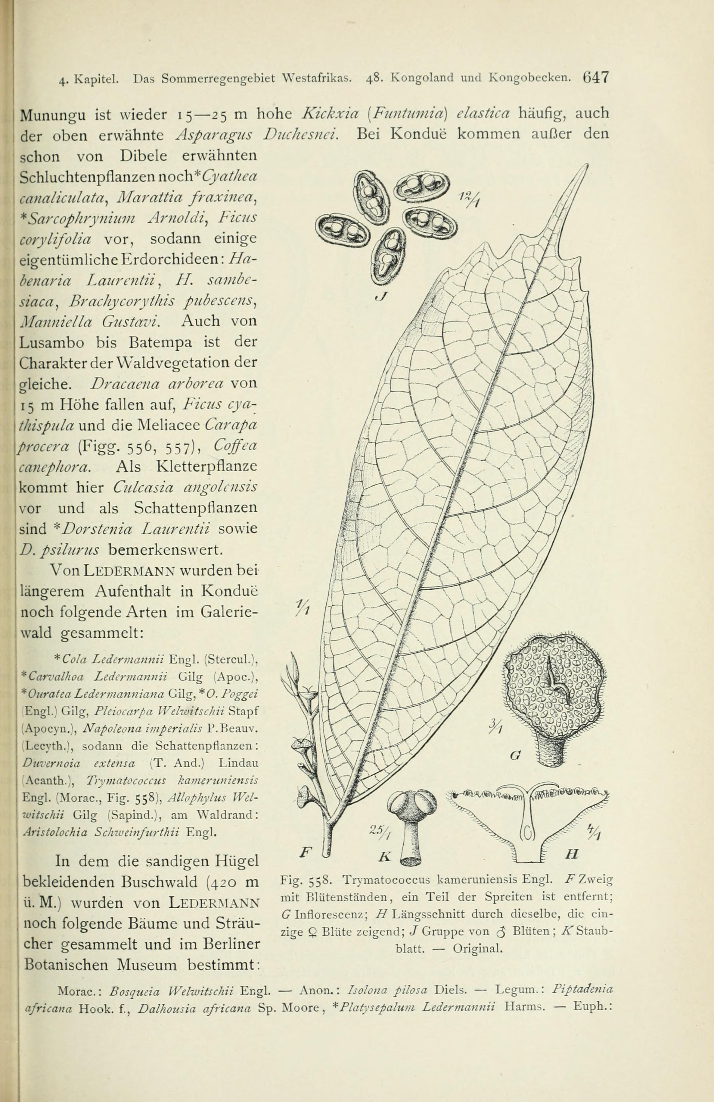 no full size  illustration available (3a)