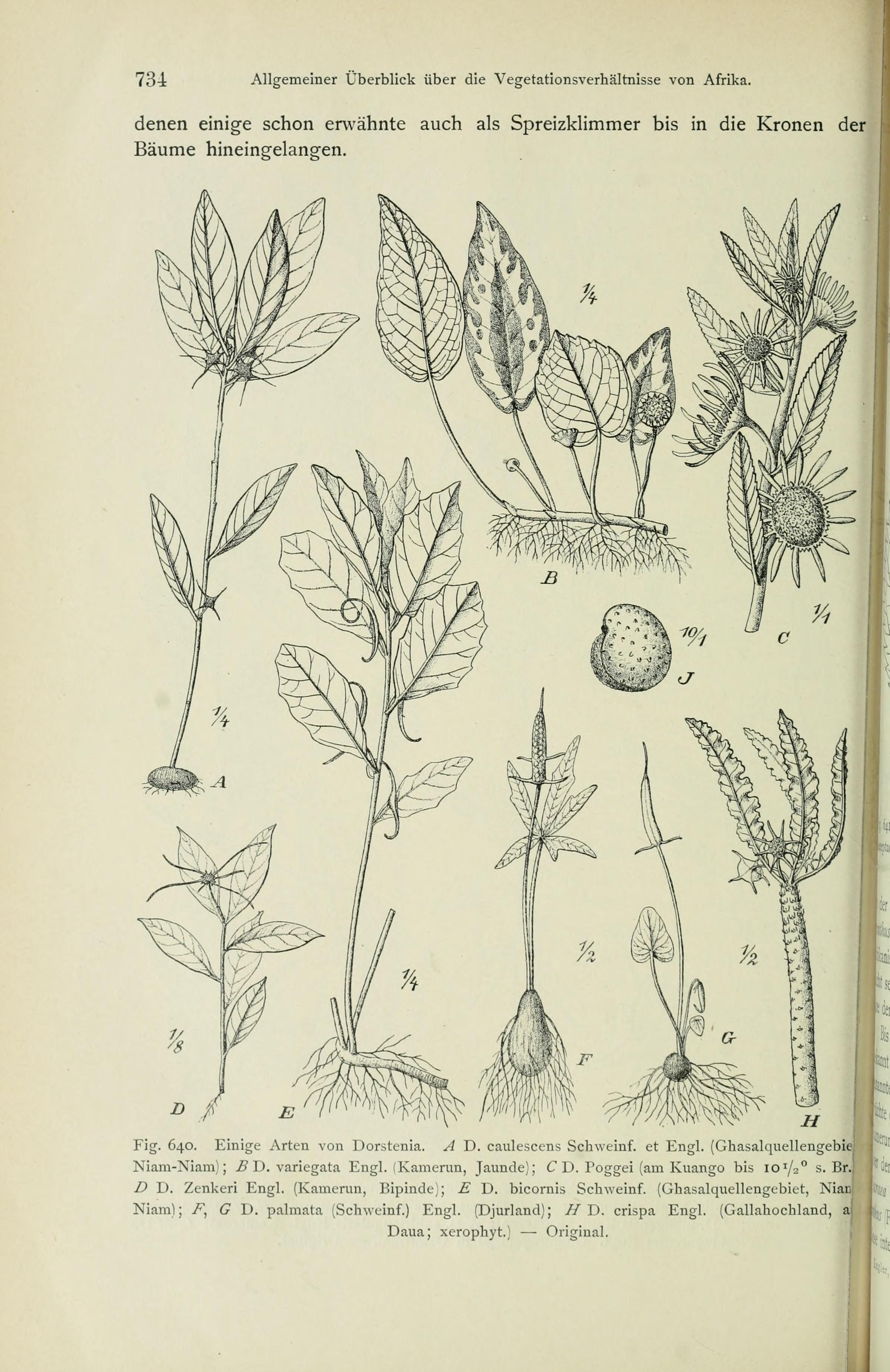 no full size  illustration available (3a)