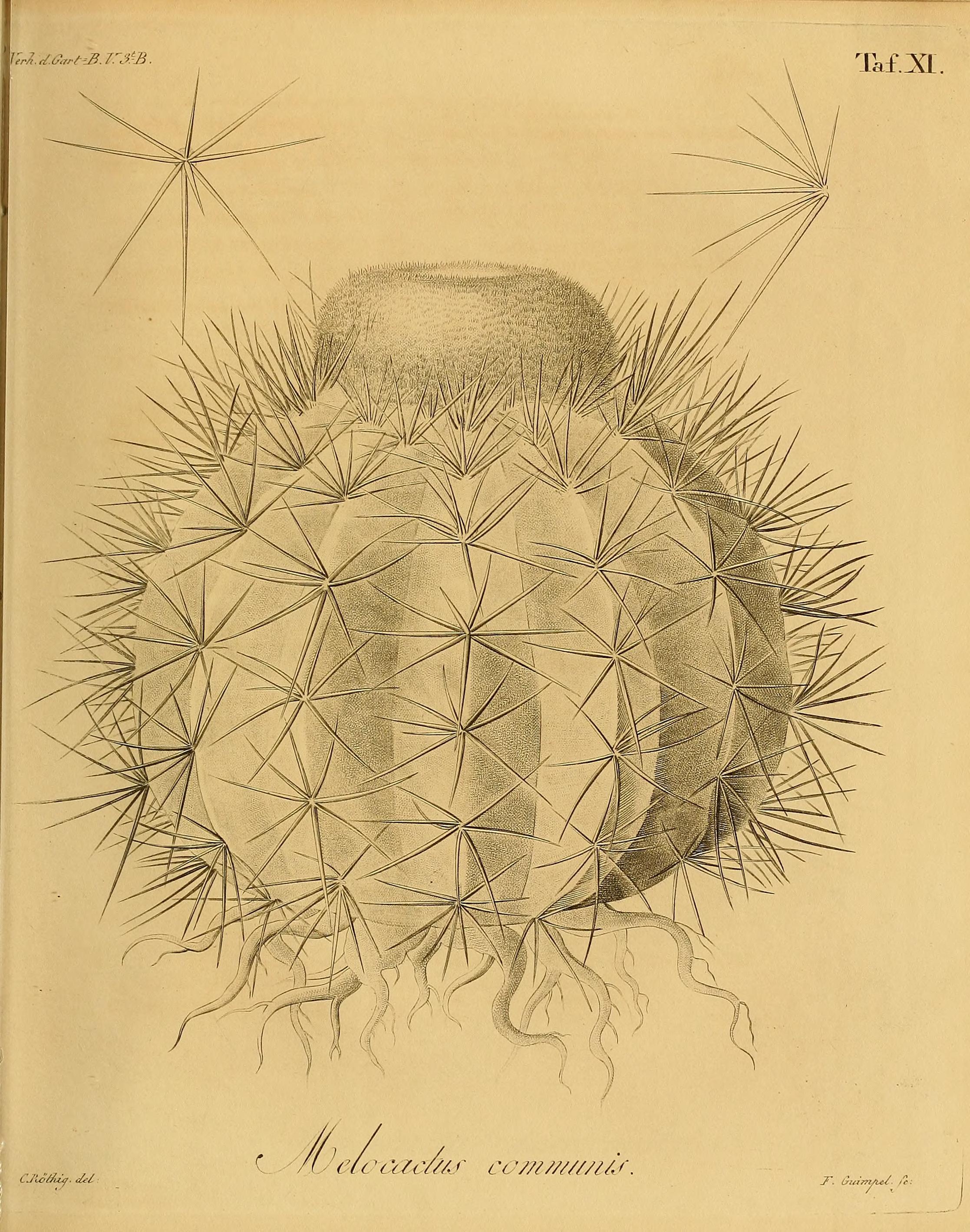 no full size  illustration available (3a)