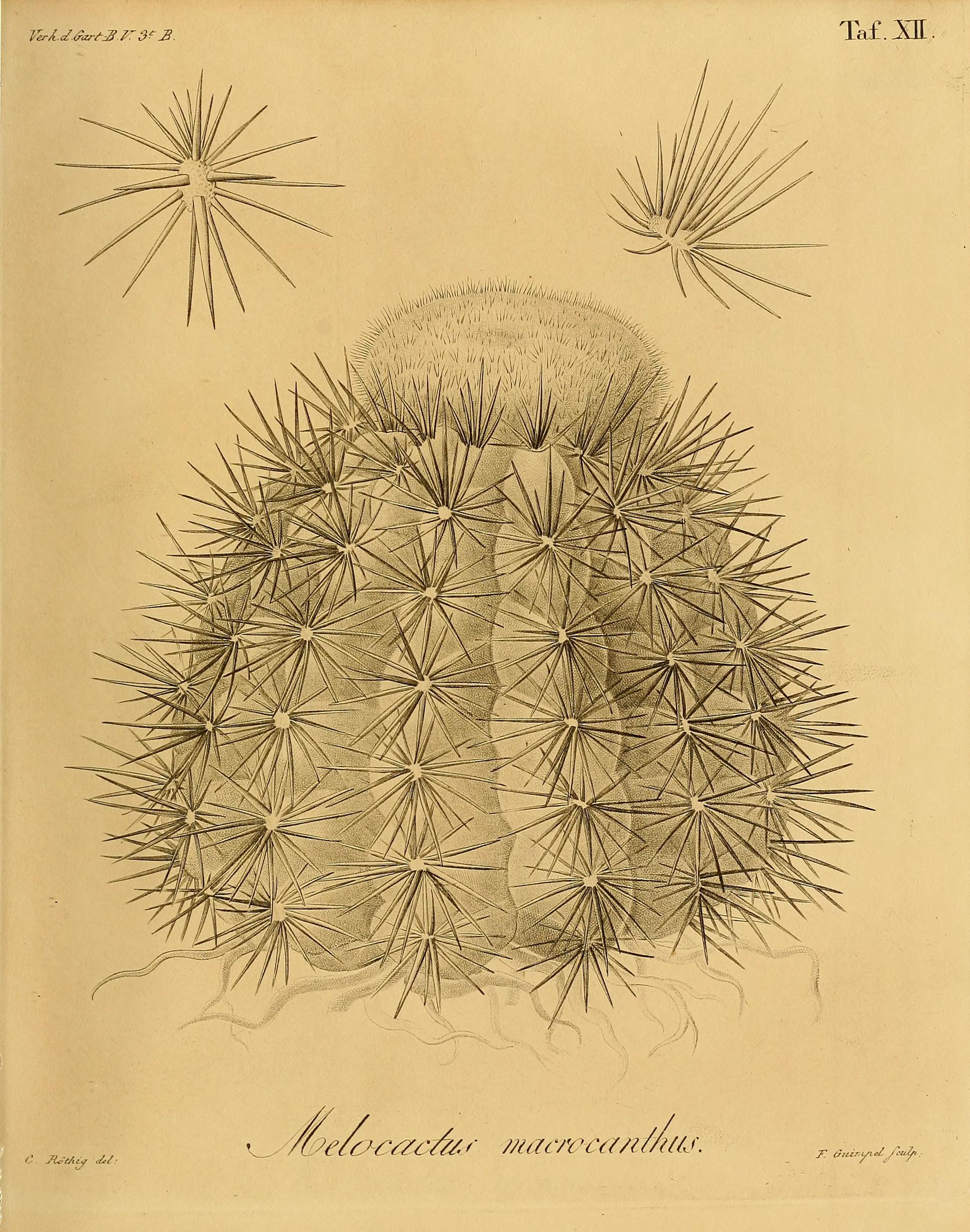 no full size  illustration available (3a)