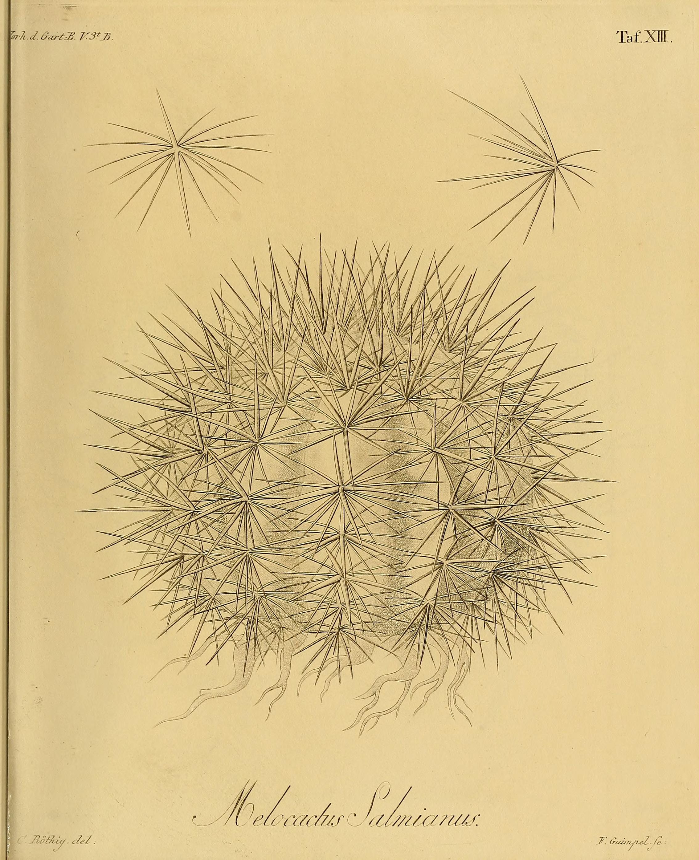 no full size  illustration available (3a)